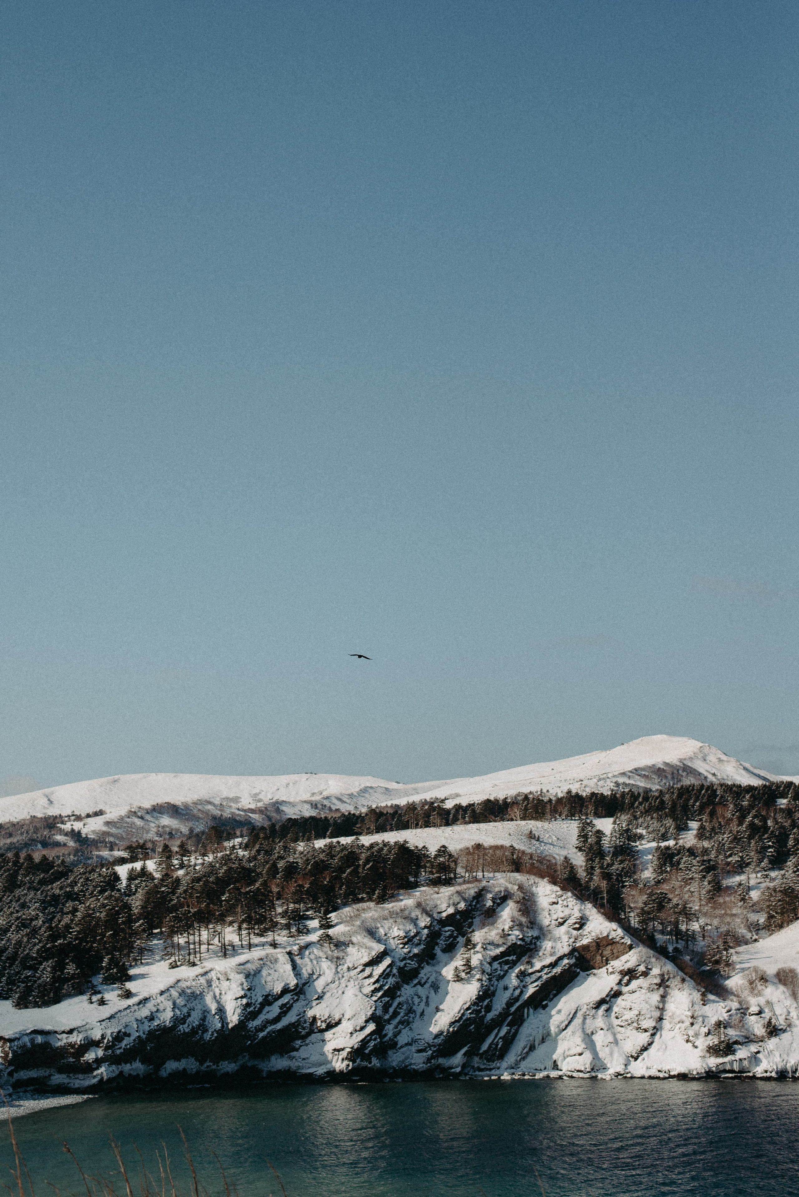 Снежная история. Ирина Метелица фотограф на Шикотане