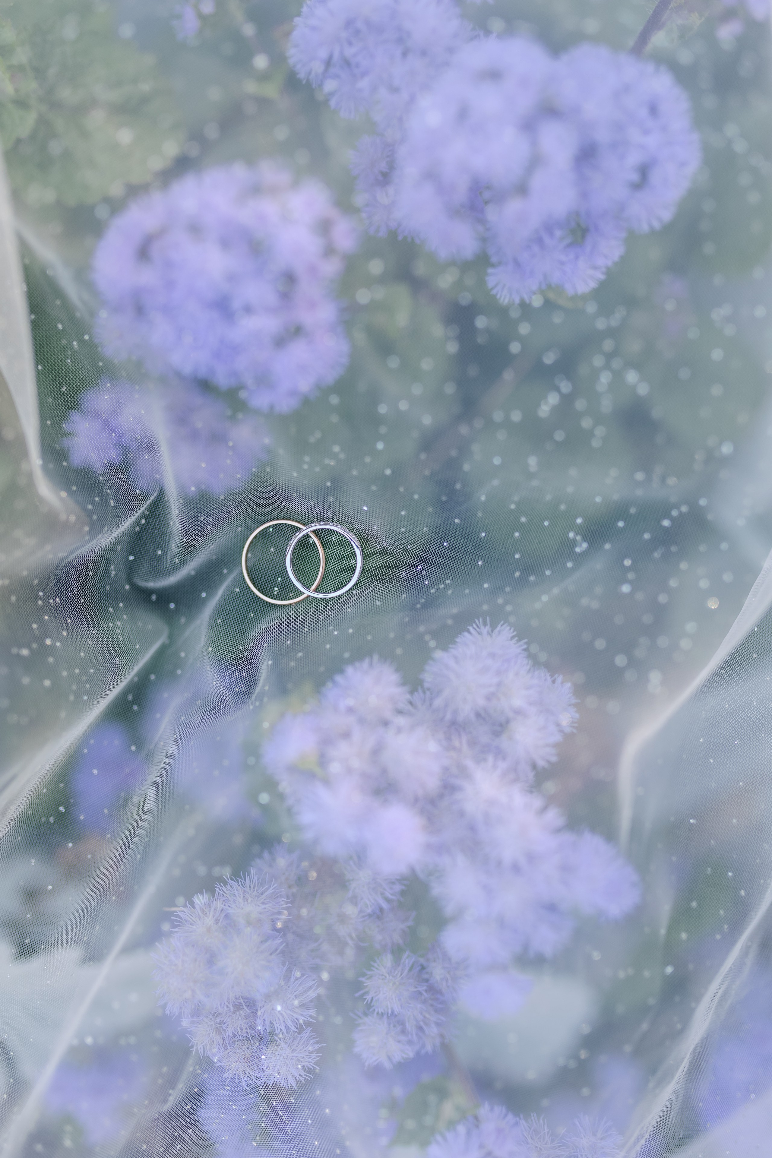 Александр и Галина. Прогулка. Свадебный фотограф в Хабаровске