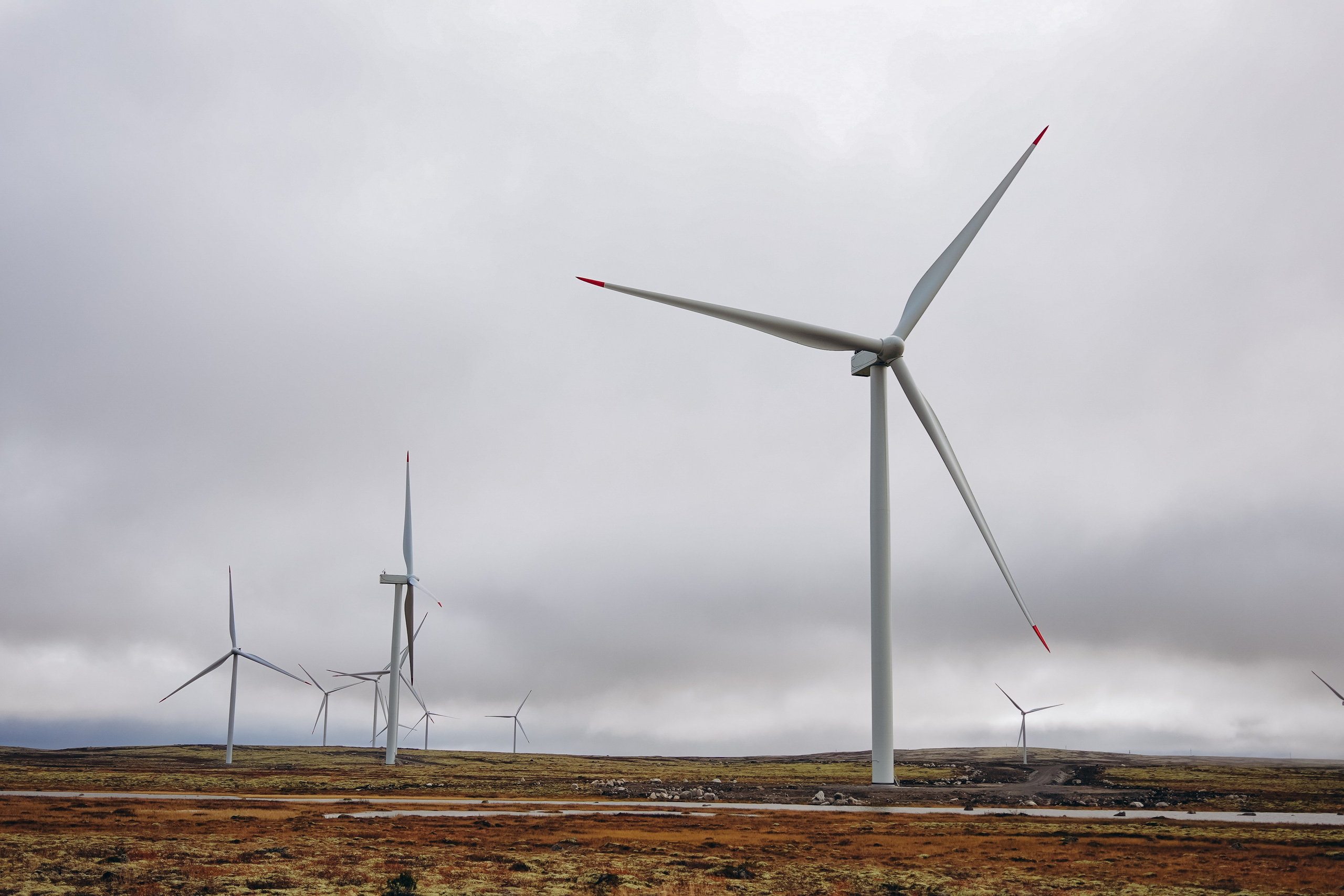 СЕВЕР. Event фотограф Степанова Александра