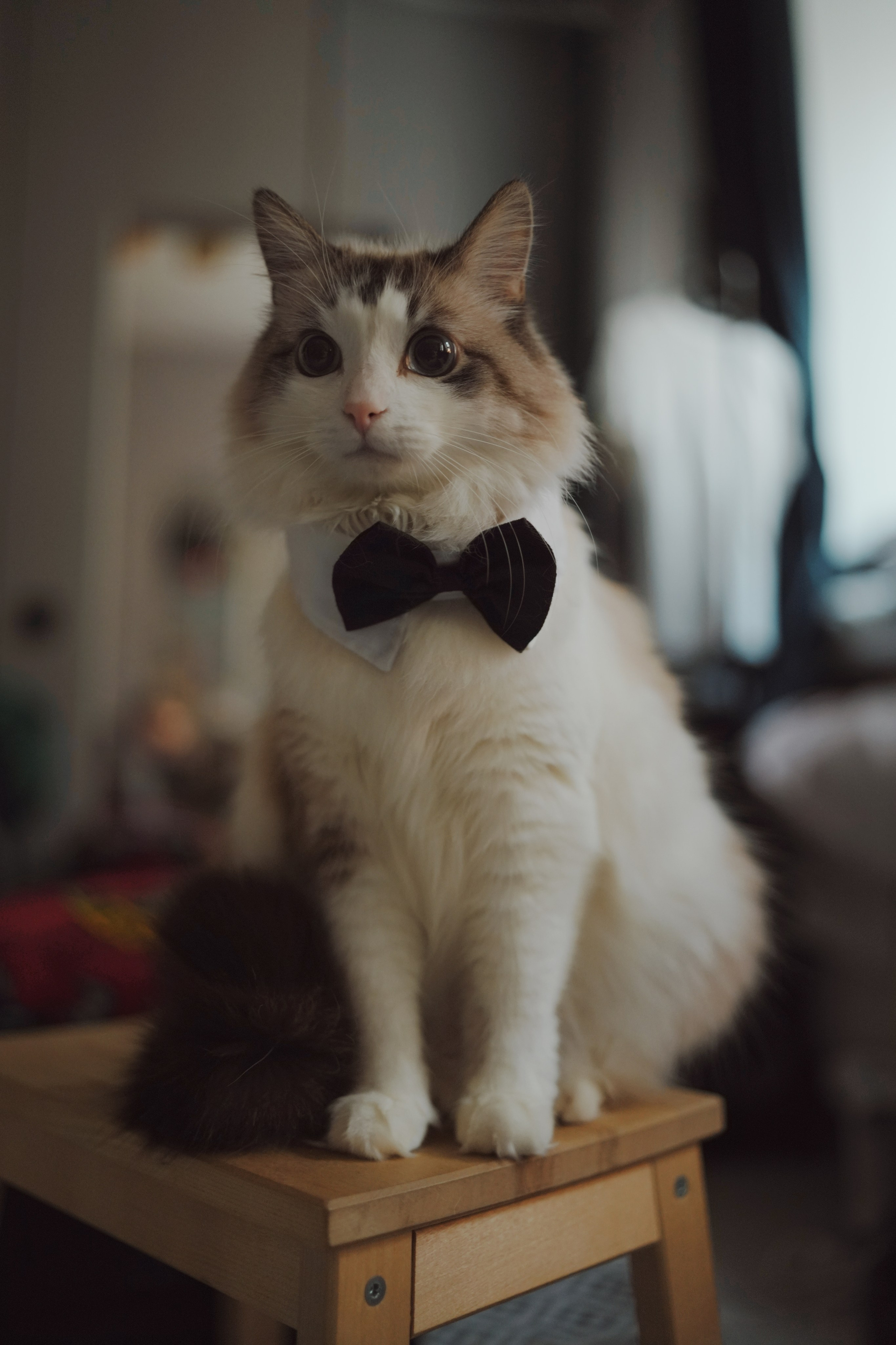 Выставка. Fotографиня из Санкт-Петербурга Настя Шуман