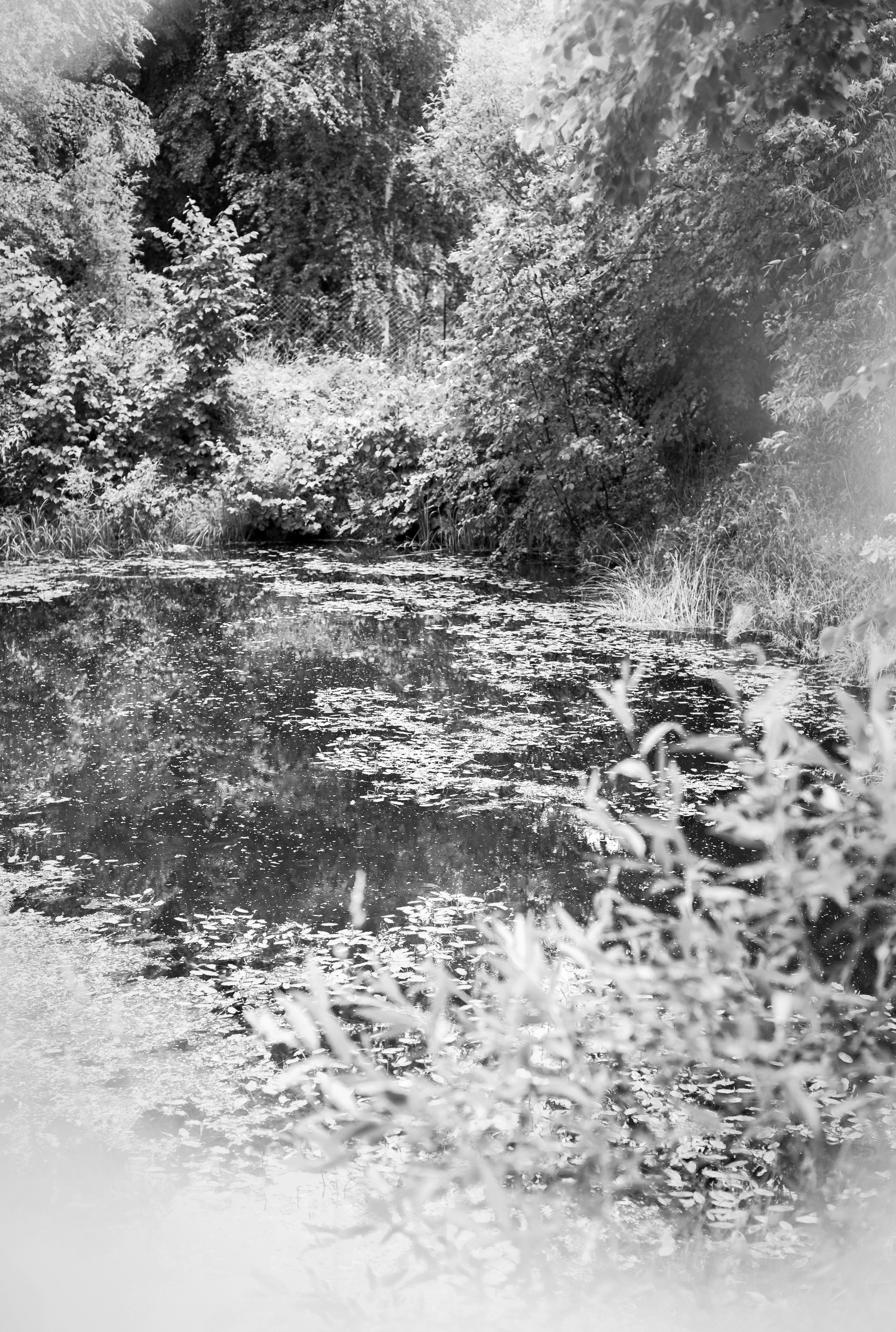 Кимрские исторические тракты: Ильинское кольцо 2026. Профессиональный фотограф, фотохудожник, видеограф из Москвы