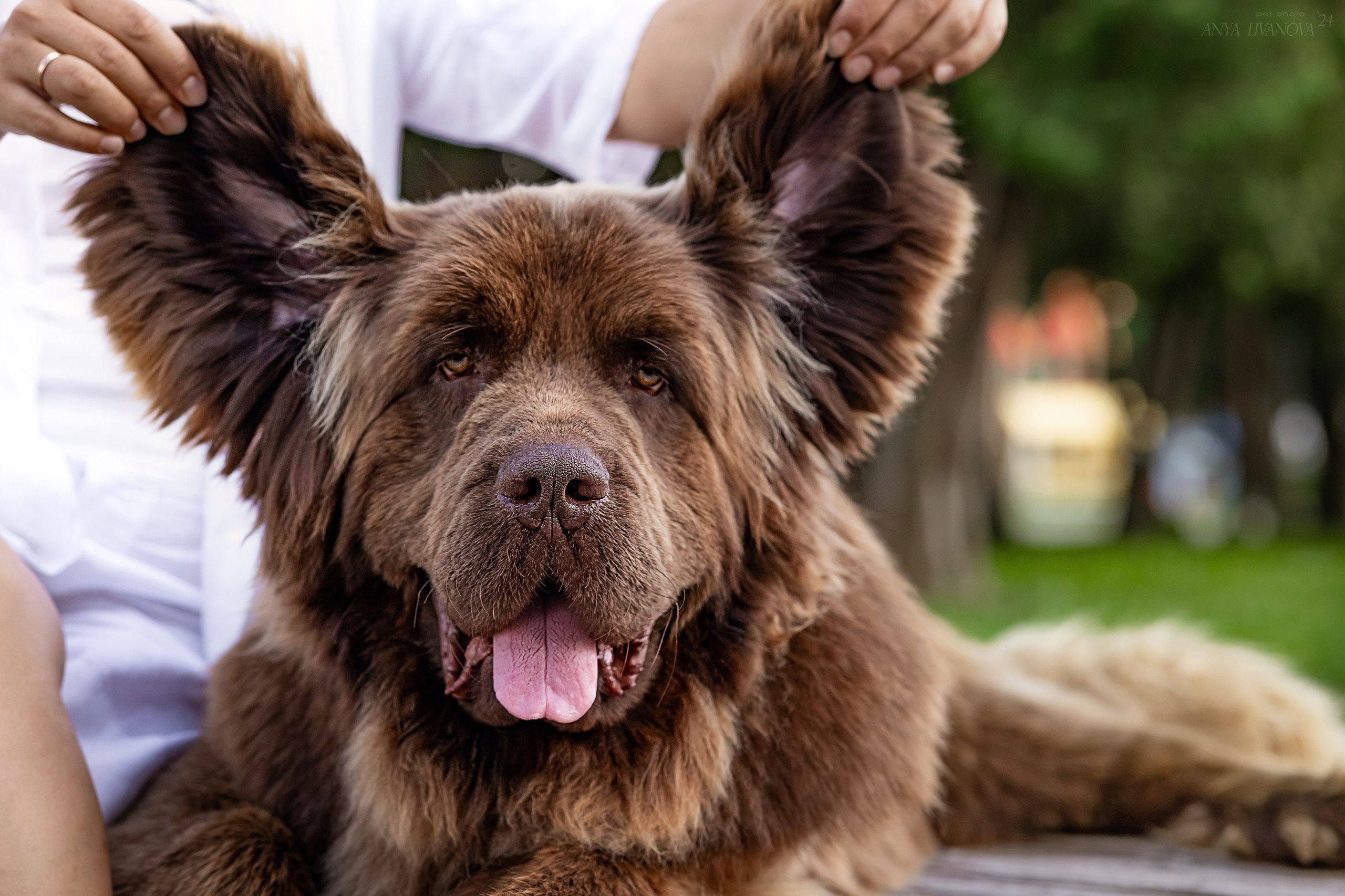 Маша — Мила — Миша. Фотограф анималист Аня Ливанова | Рыбинск