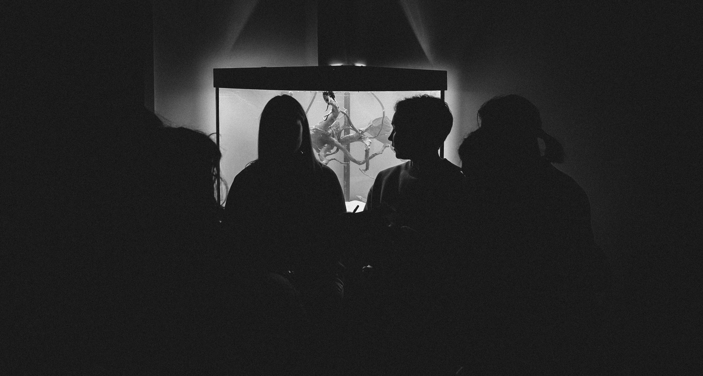 Репортажи. Репортажный и свадебный фотограф в Санкт-Петербурге Романов Вадим