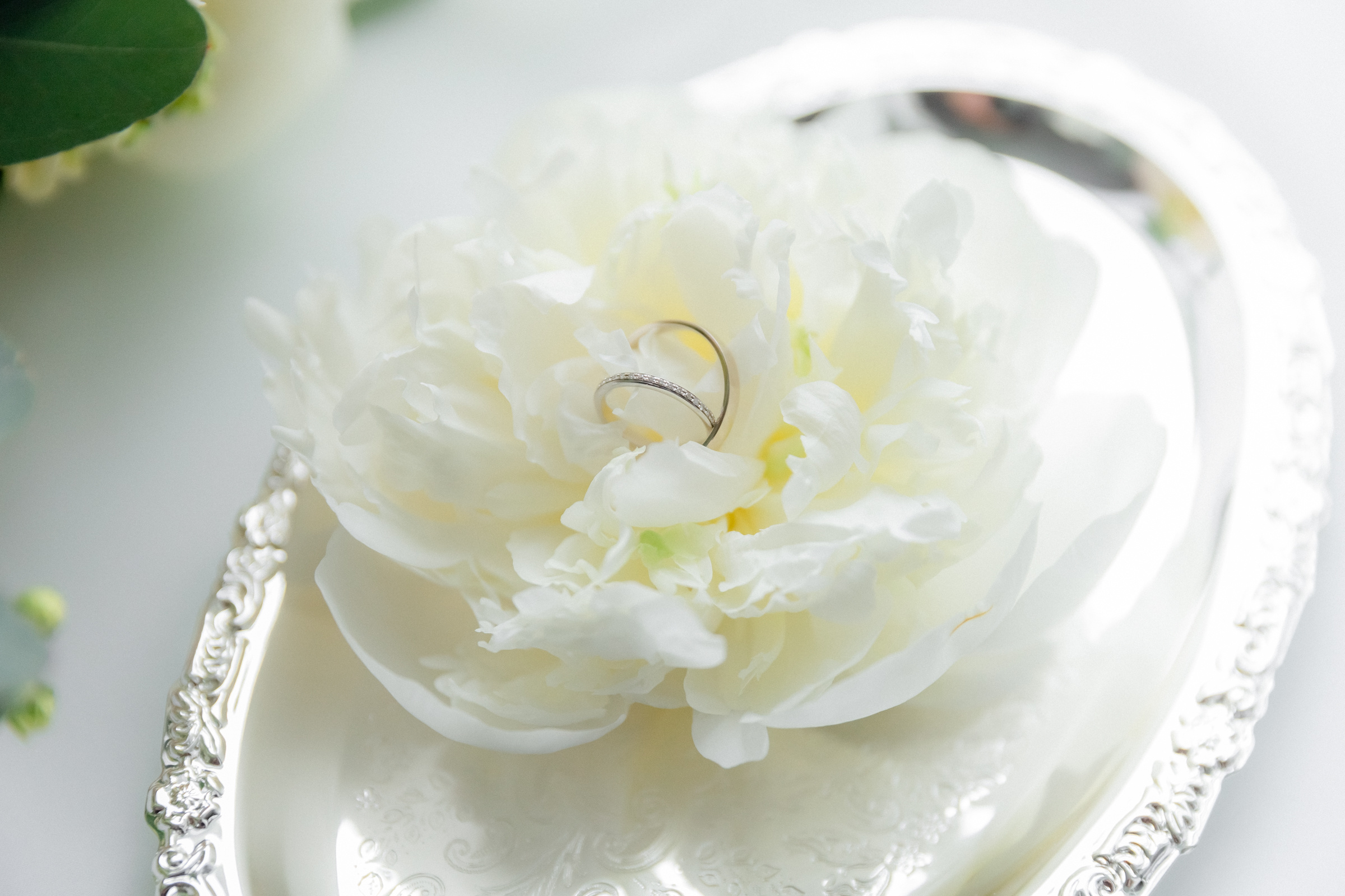 Аня и Саша. Фотограф Женя Соловец (Женя Мёд)