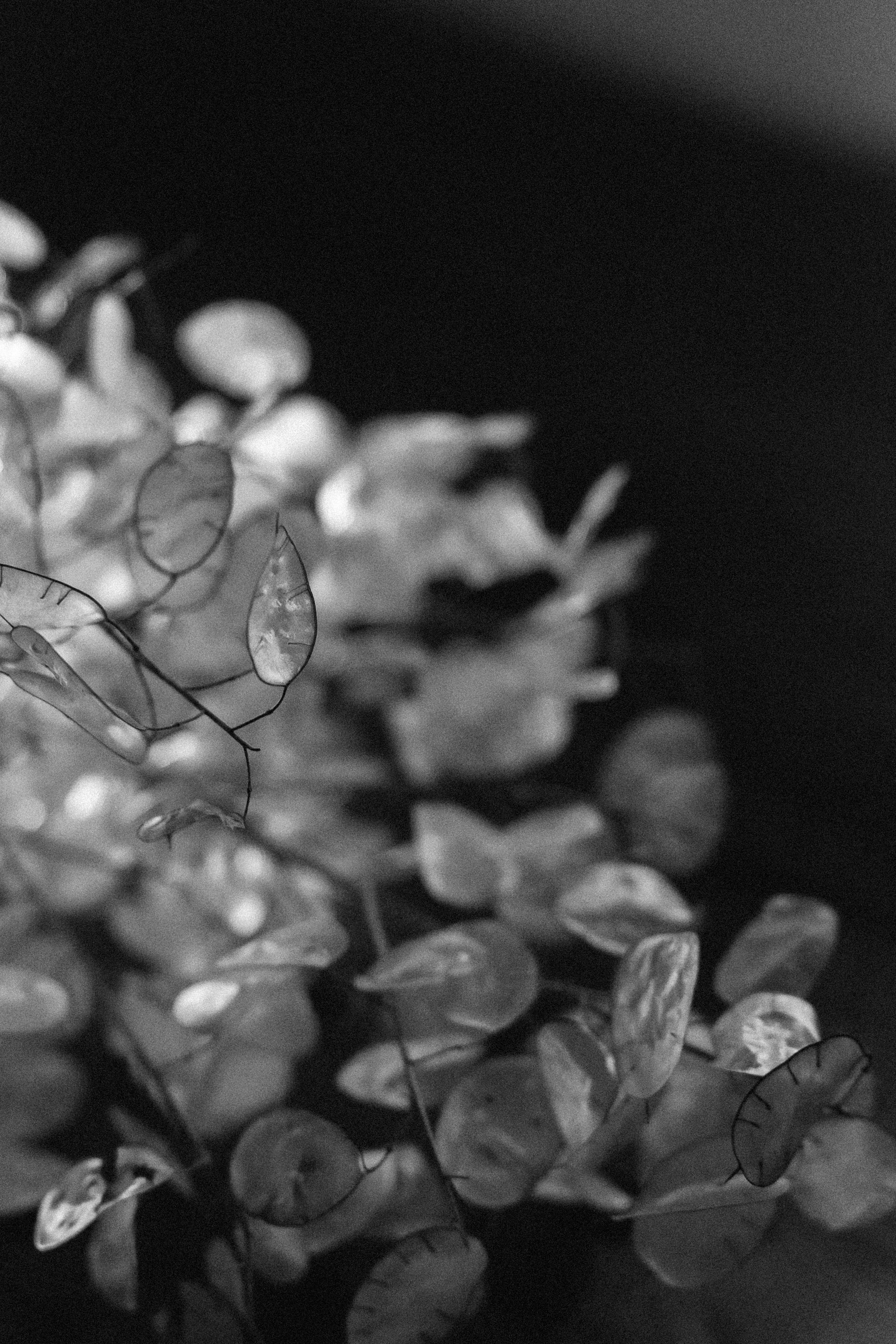 Свадебные фото. Свадебный фотограф  г. Тюмень Ольга Арсенюк