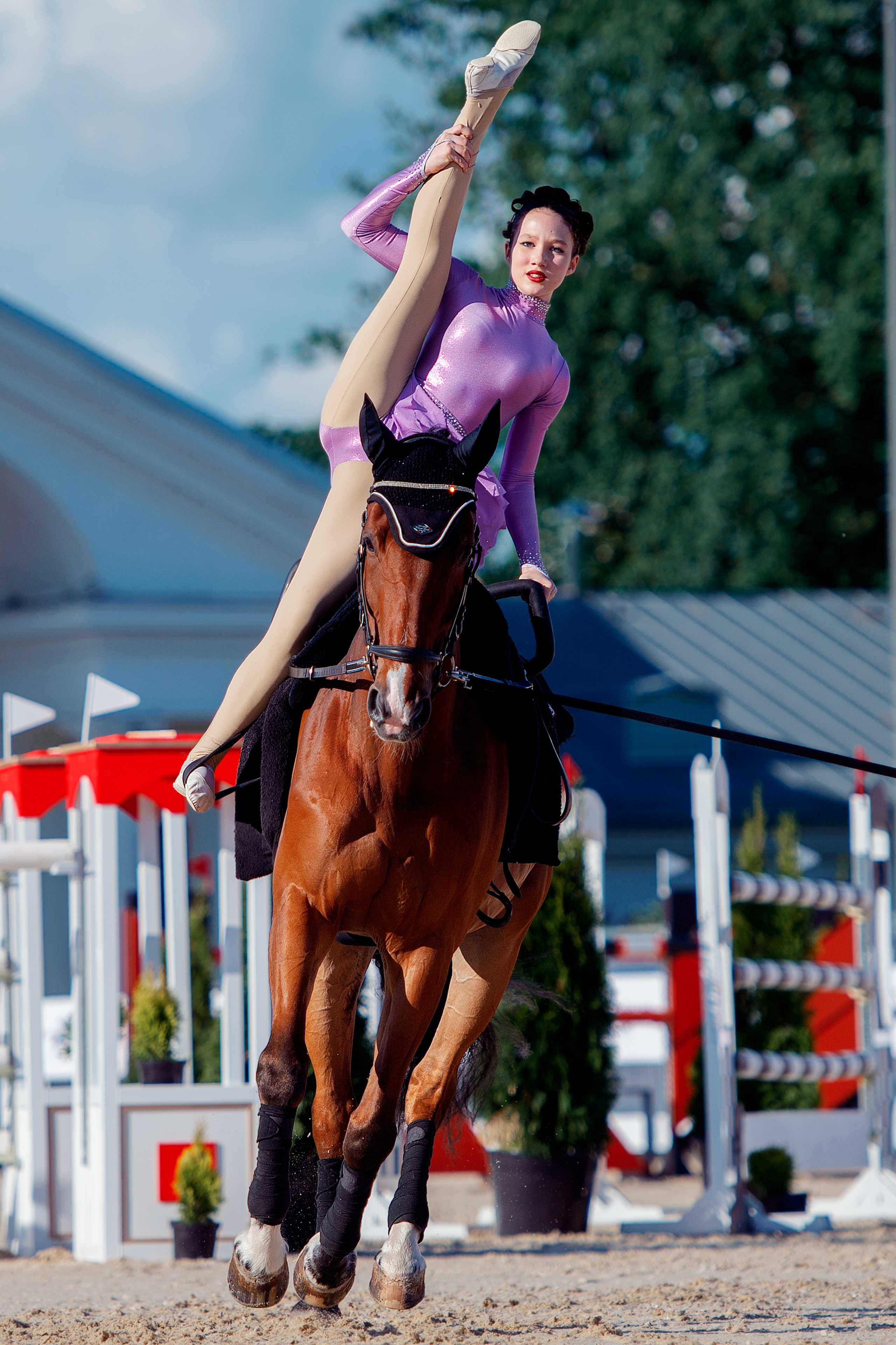 Репортаж Bitriver. Конный фотограф Alesya Safe