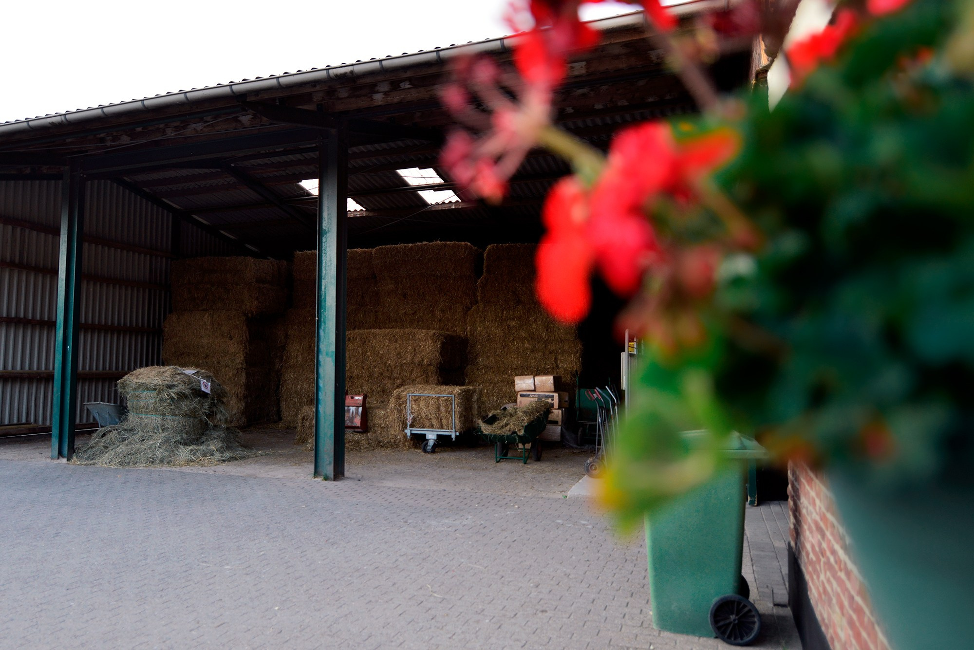 ЕС. Конный фотограф Alesya Safe