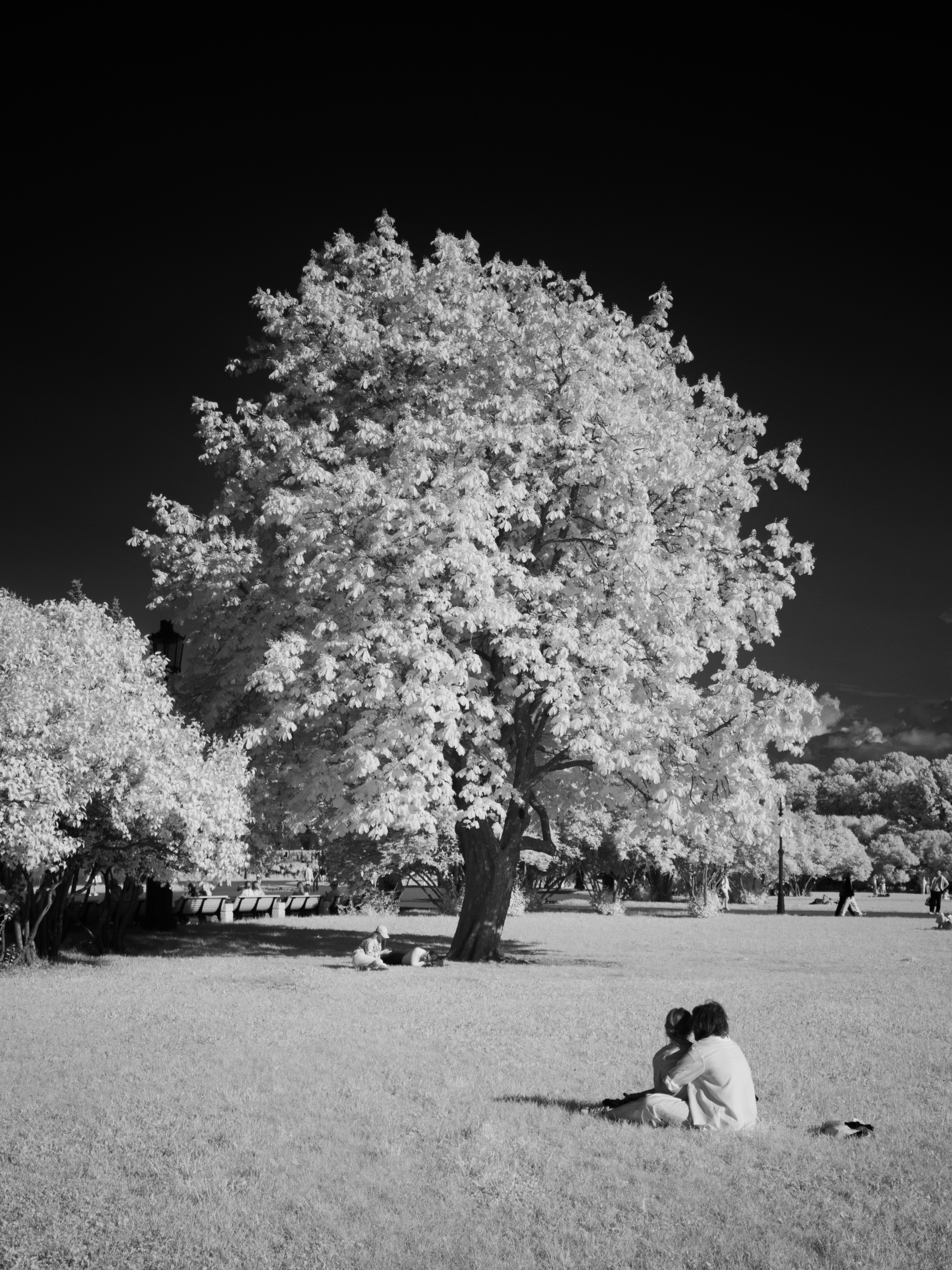 Infrared mono. AThumbnails