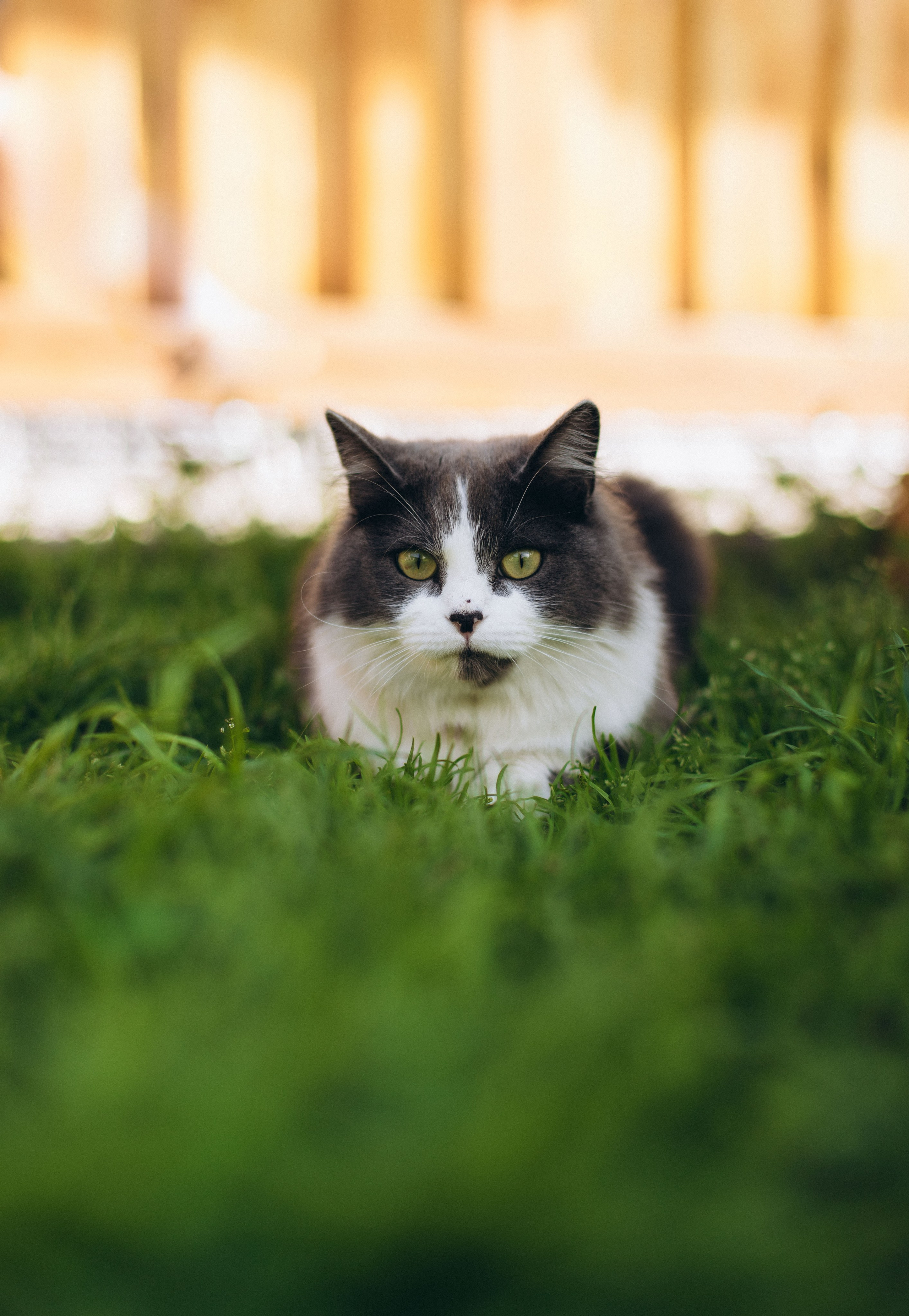 Андрею 1 годик. Фотограф Наталья Кургина Слюдянка Иркутск