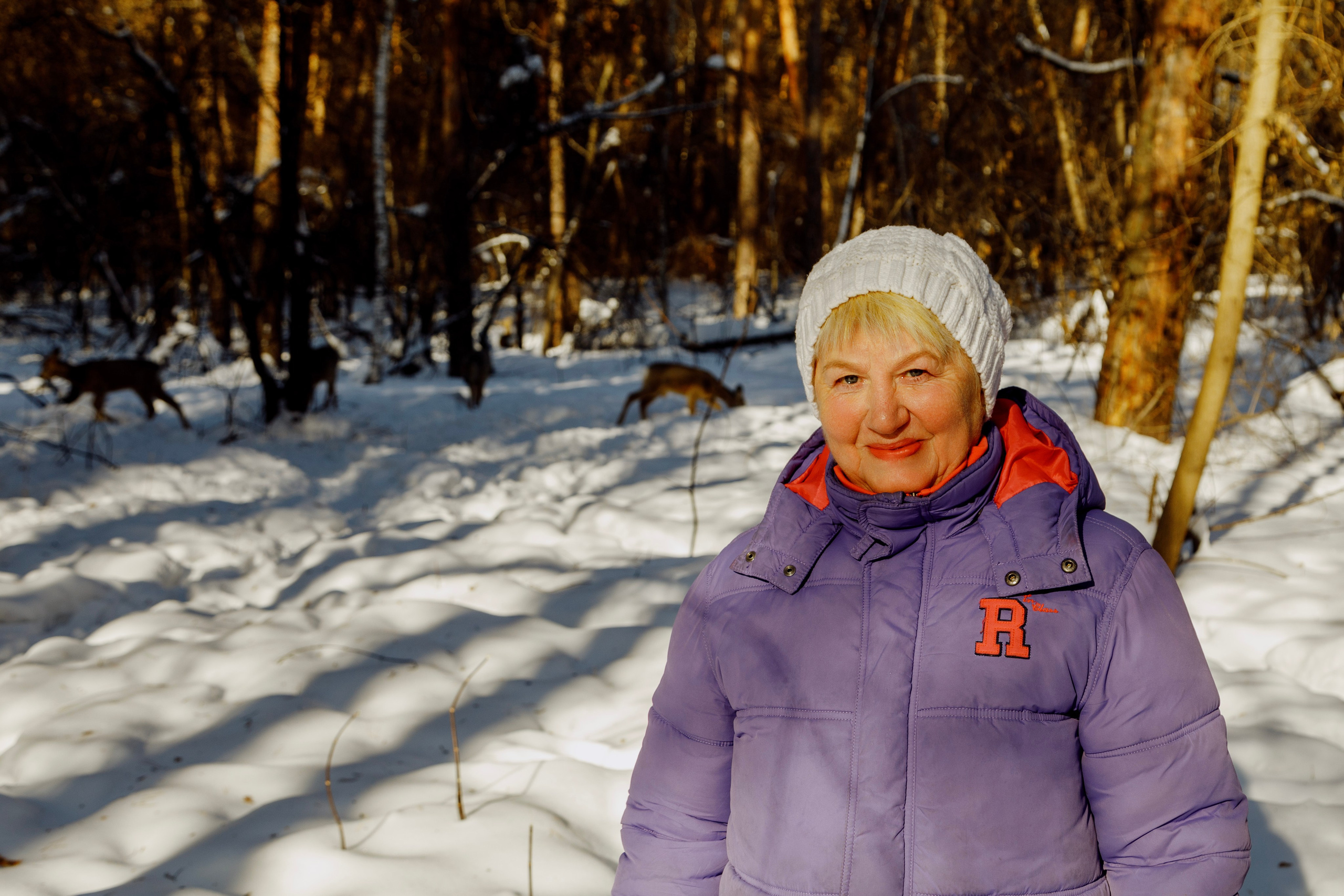 Косули. Фотограф Андрей Гузеев