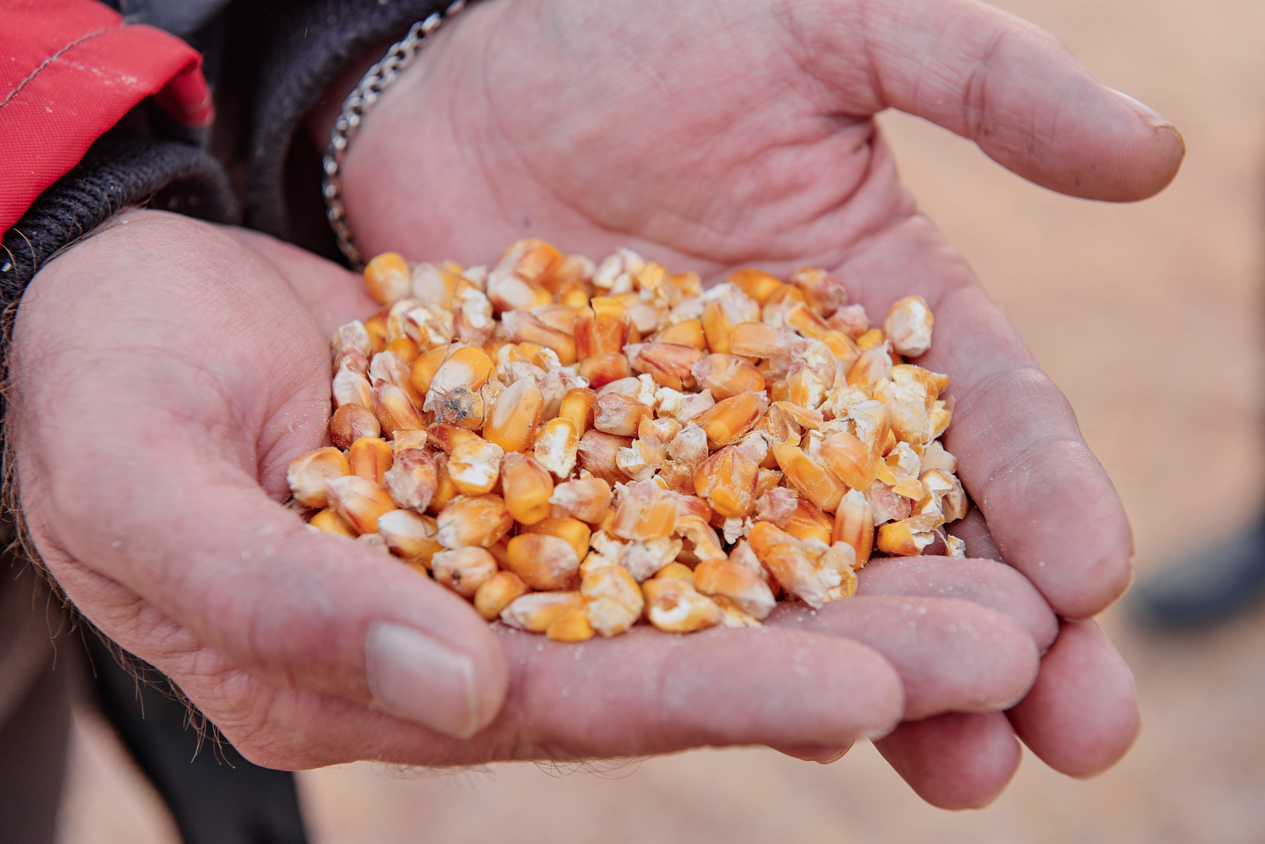 Фотограф на мероприятие. Light Media — креативный видеопродакшн