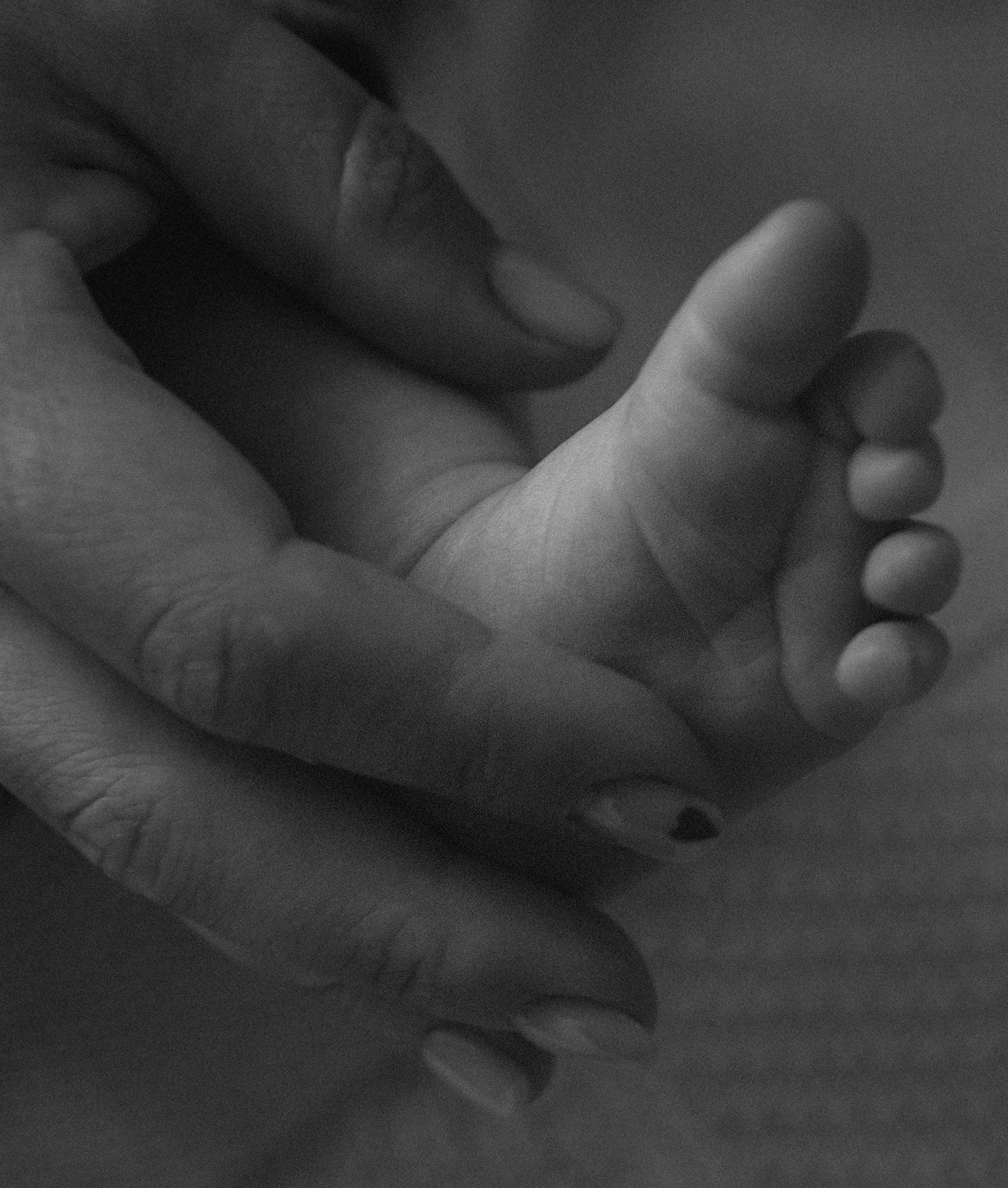 Маленькое счастье. Фотограф Ирина Нехороших