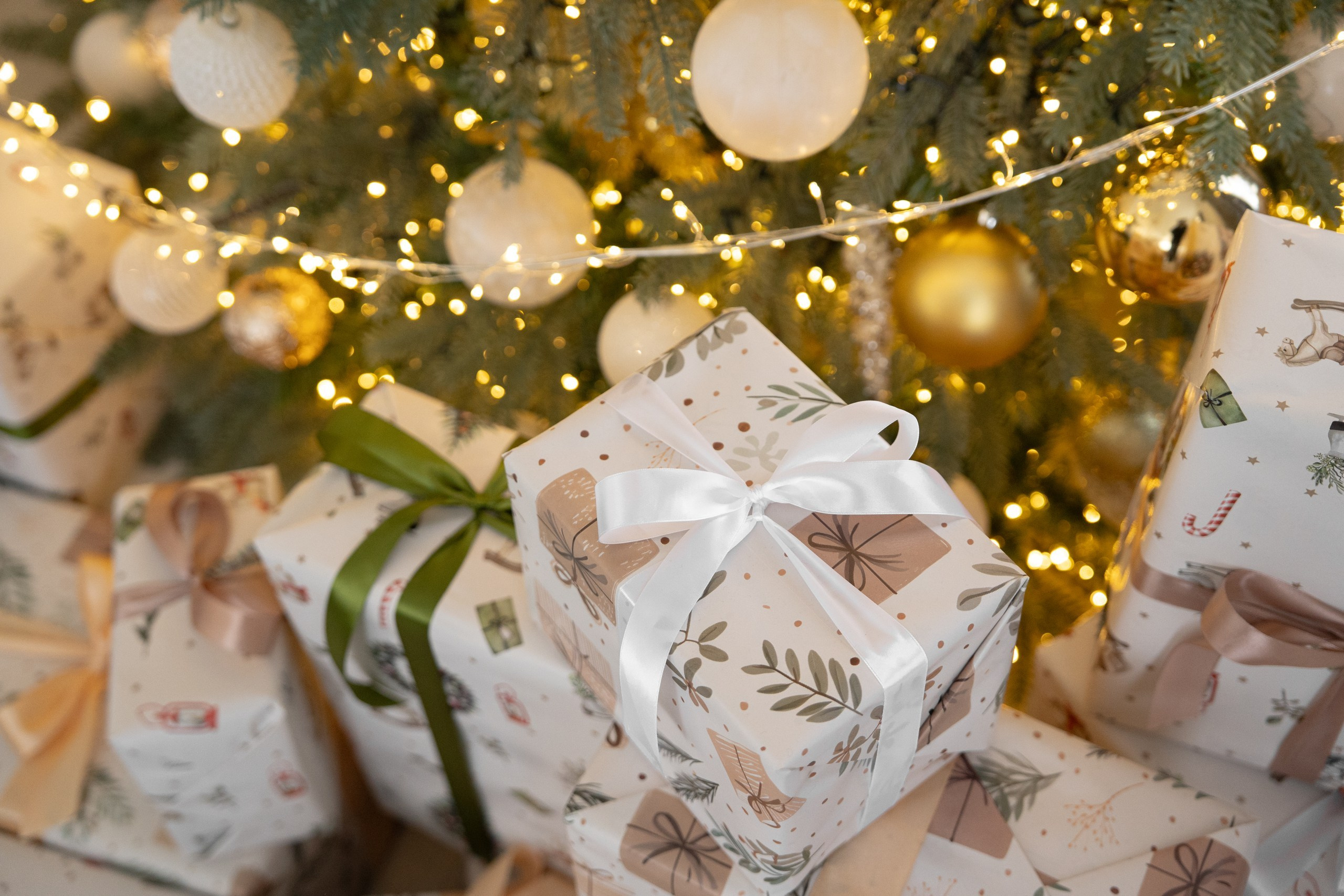 Фотостудии Ростова: оптимальные условия для качественных фото. Фотограф в Ростове Александр Градов — заказать услуги фотографа