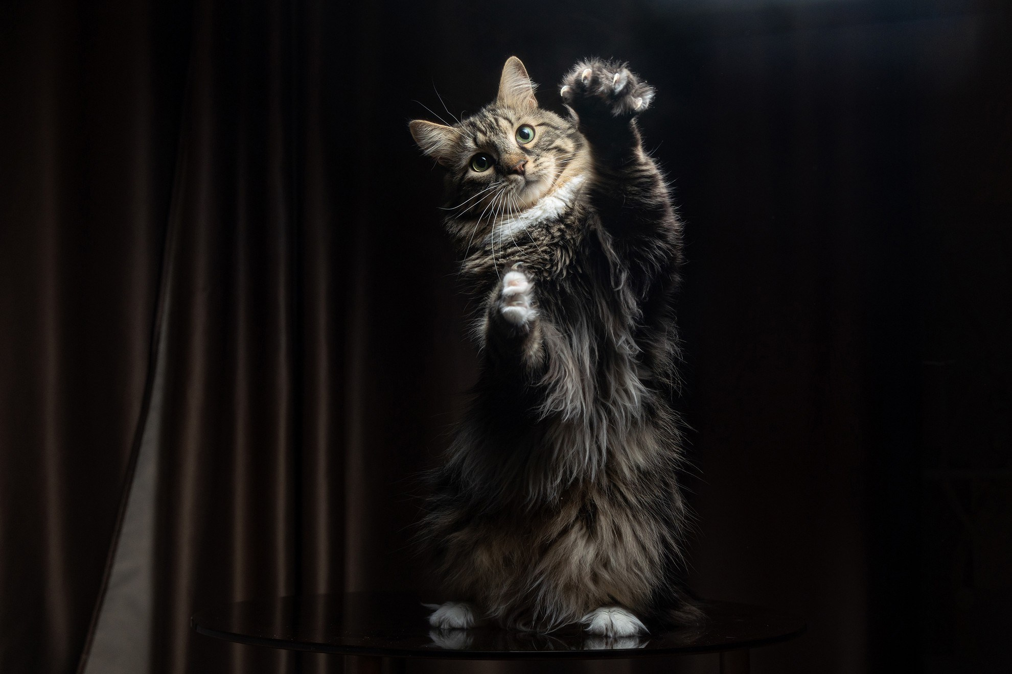 Лека и Дар. Свадебный и репортажный фотограф в Москве и Московской области