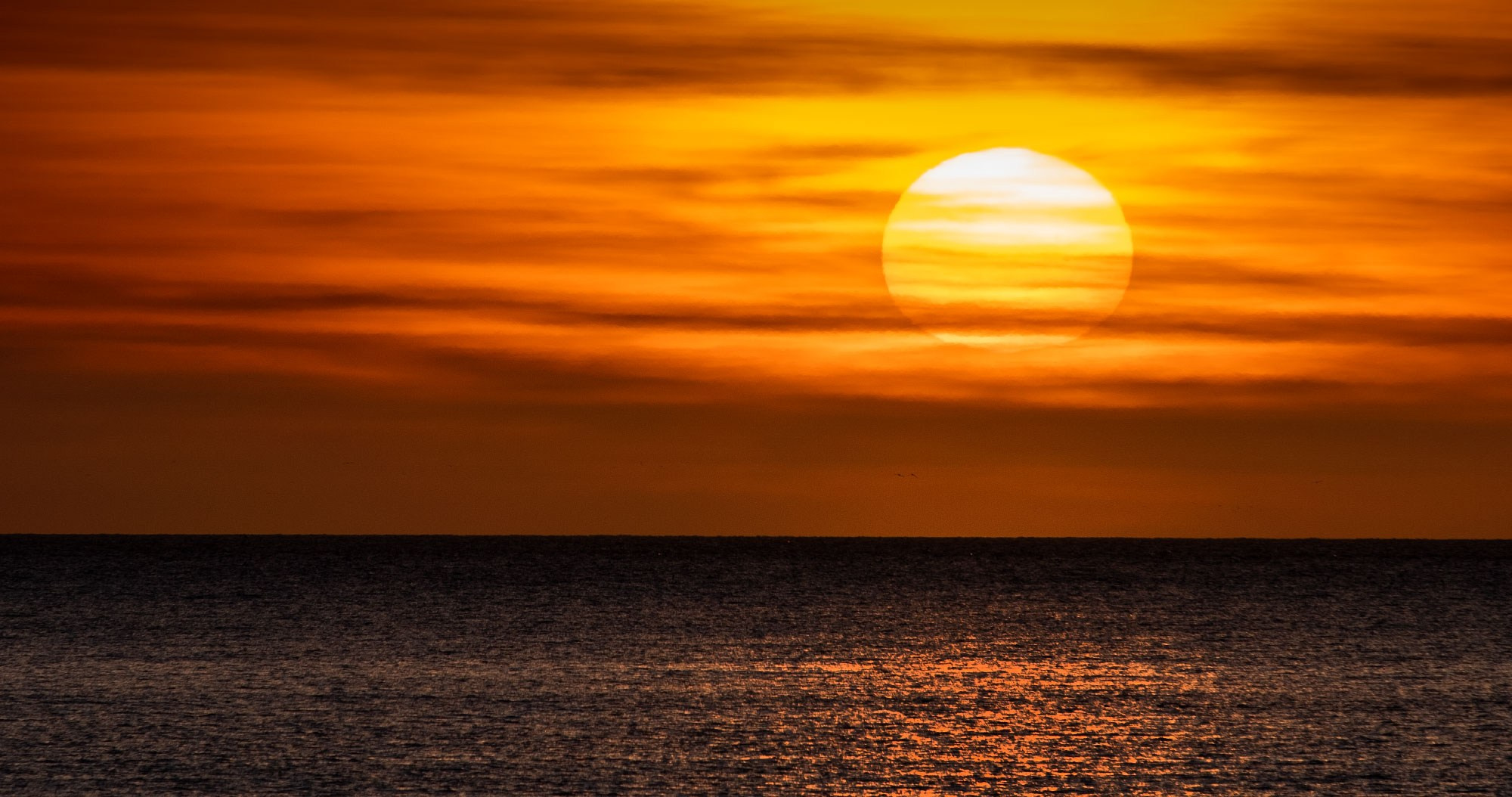Свадебный фотограф  Геленджик