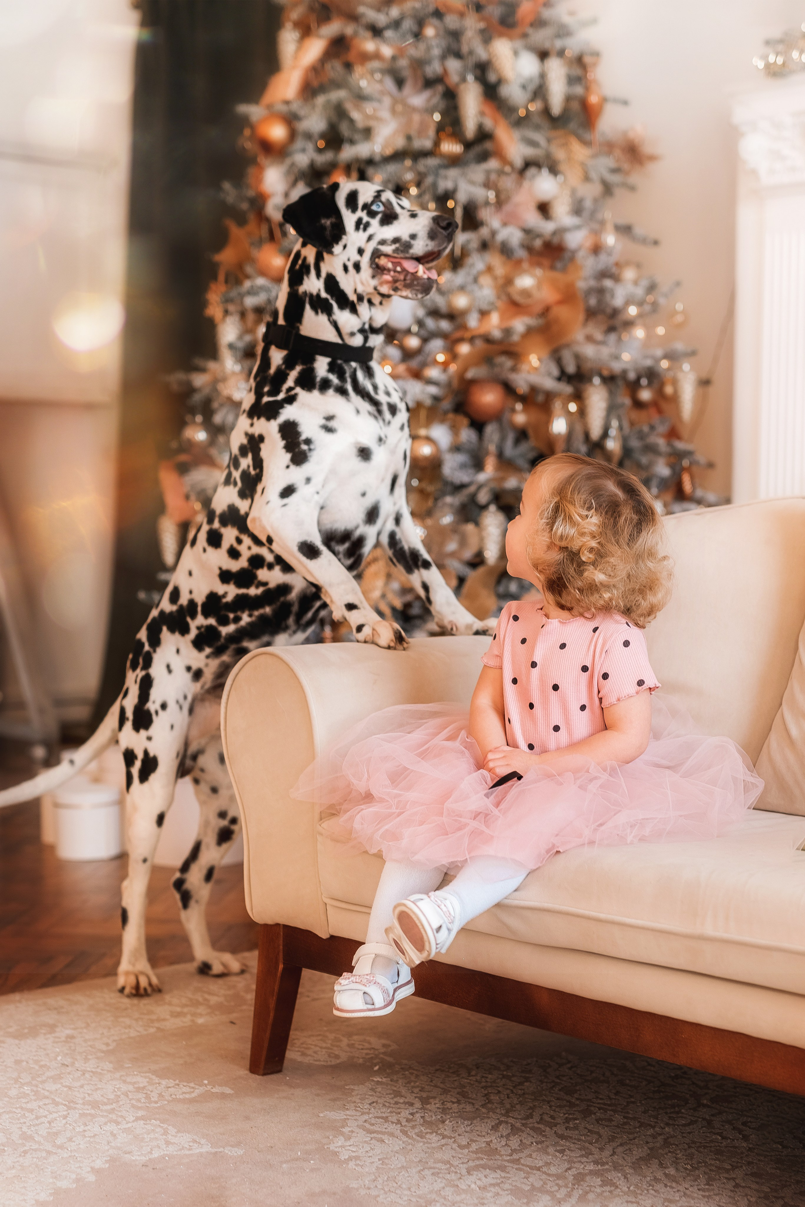 Фотосессия с далматинцем. Семейный, детский фотограф в Воронеже Анна Никитина