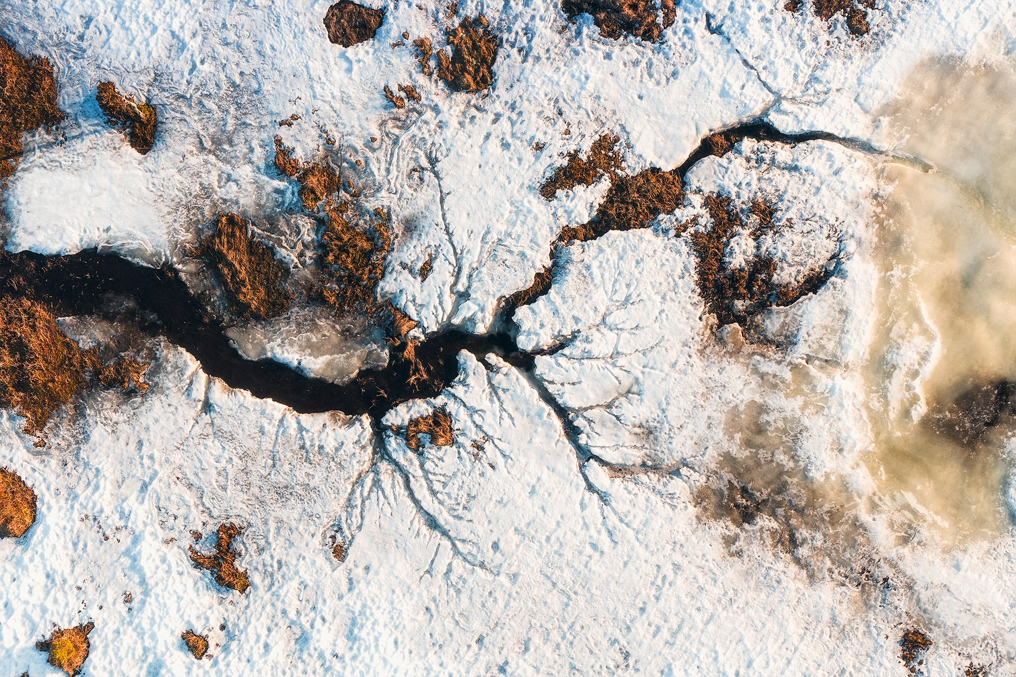 Весна в лесу. Фотосъемка в Архангельске, фотограф Александр Ермолин