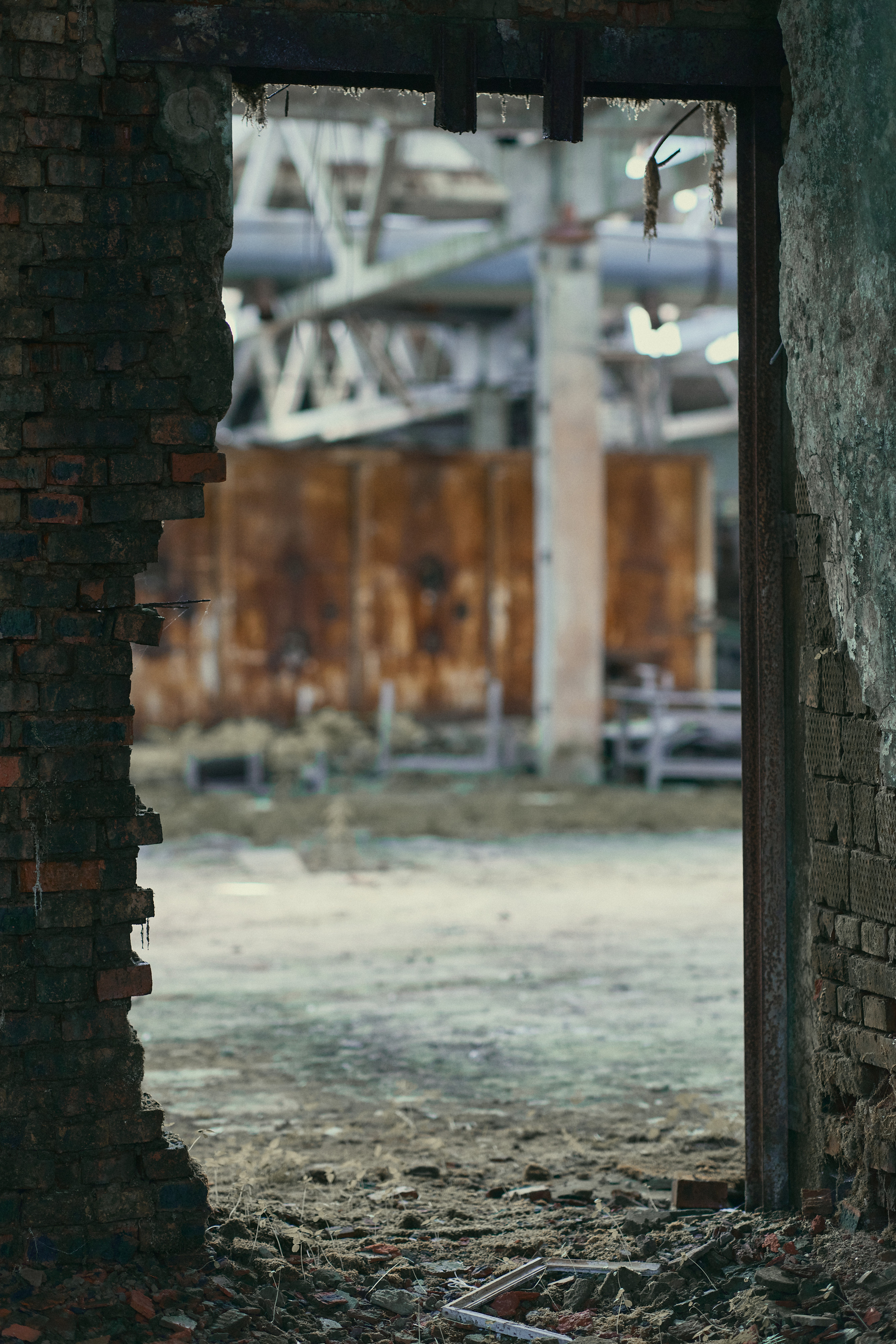 Россомаха. Бэкстейдж к фильму. Профессиональный фотограф, Москва | Елена Павлова