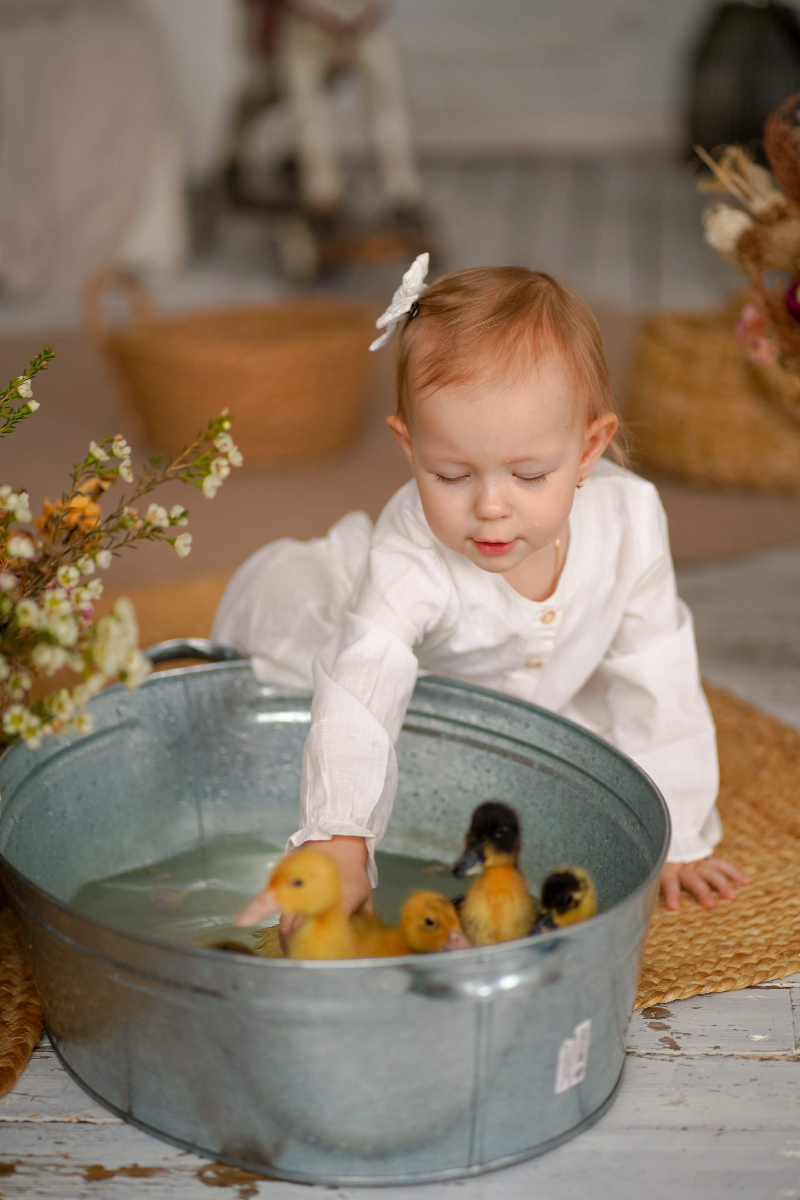 Пасхальные. Фотограф Татьяна Митрофанова