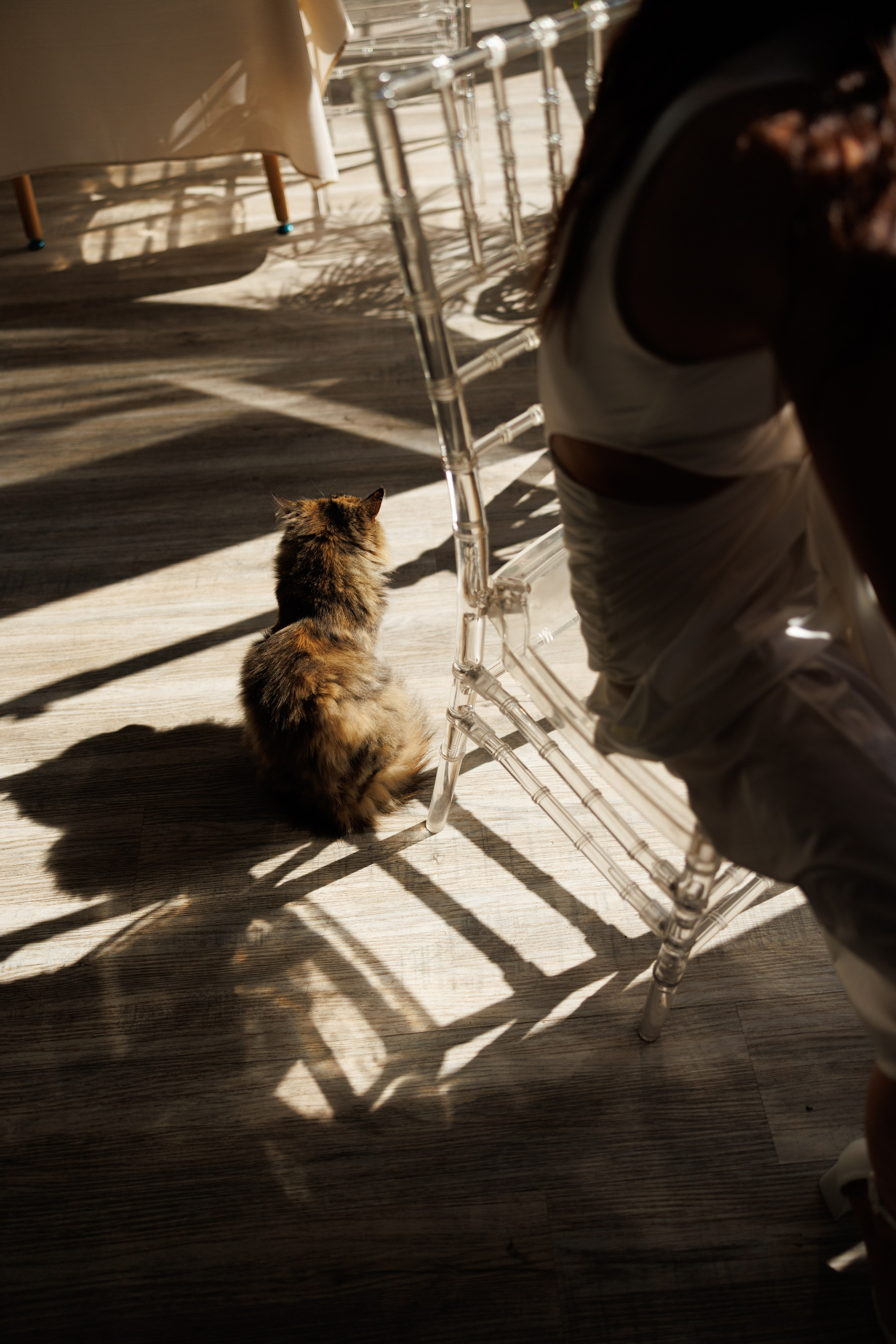 | Be Love |. Jen.swph Свадебный фотограф