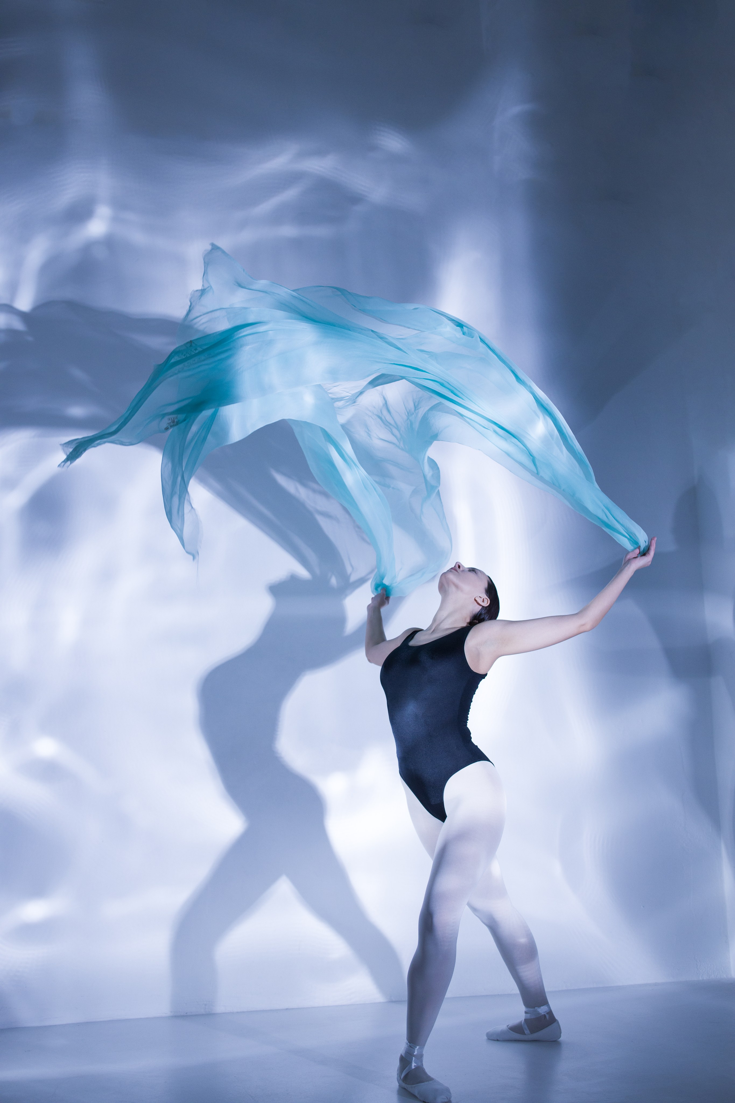 Лилия. Художественная фотография