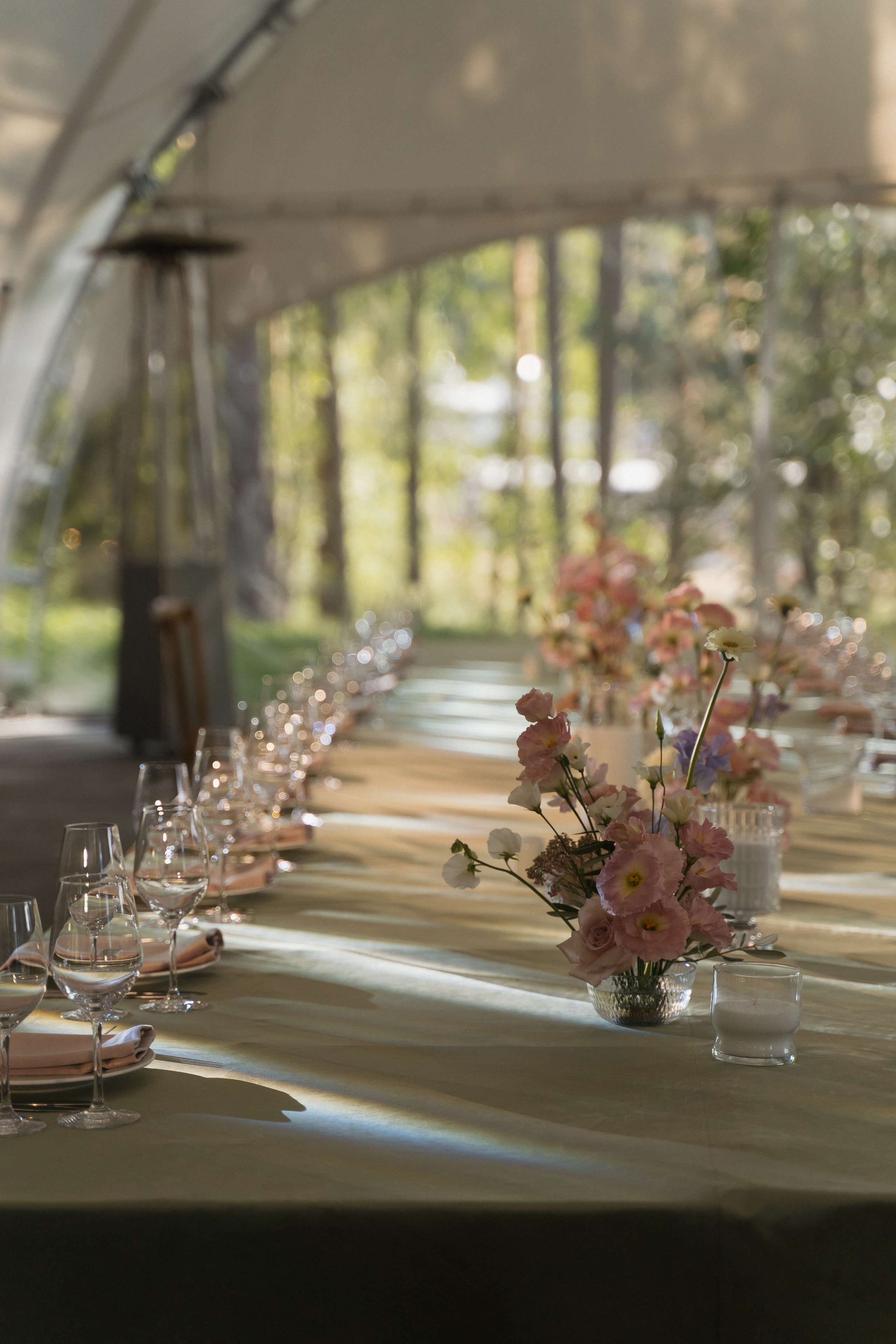 Мистер Дарси. Свадебный фотограф Москва Светлана Анисимова