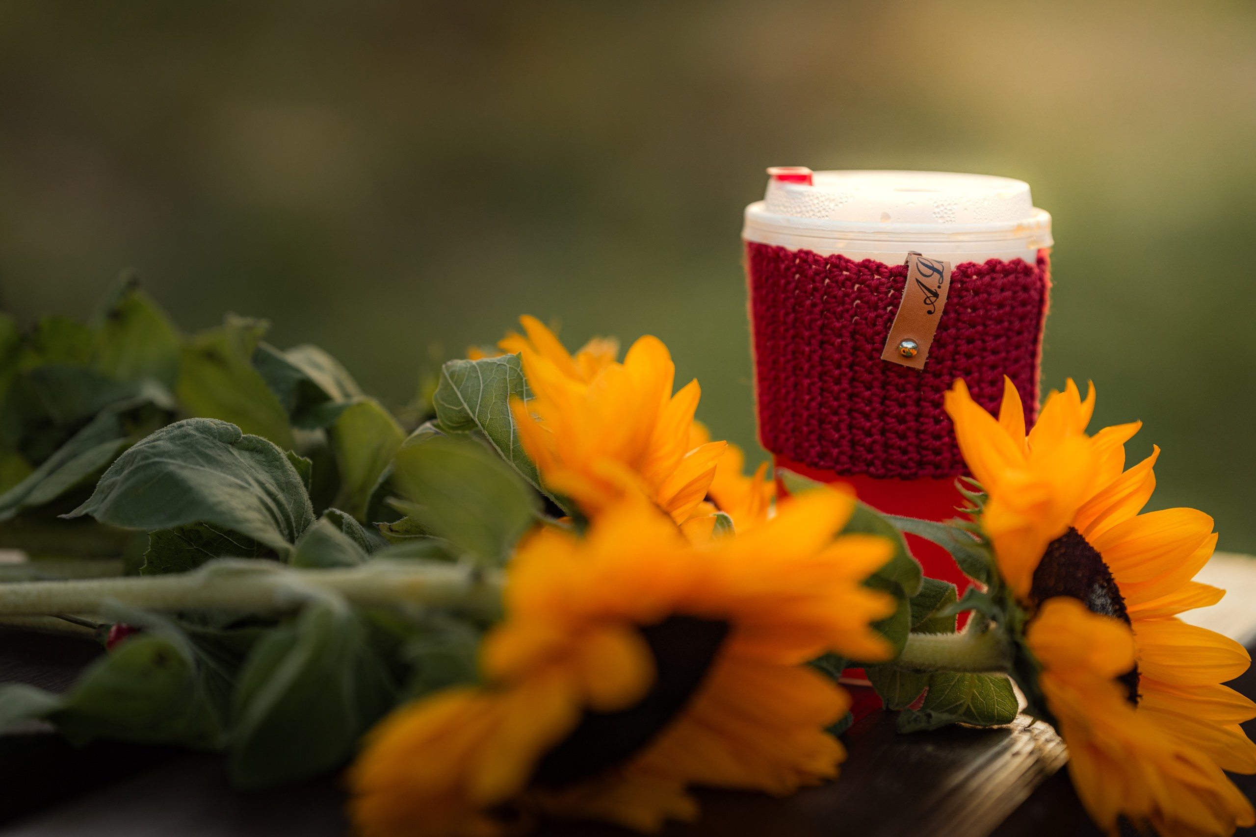 Осень Настя Линина