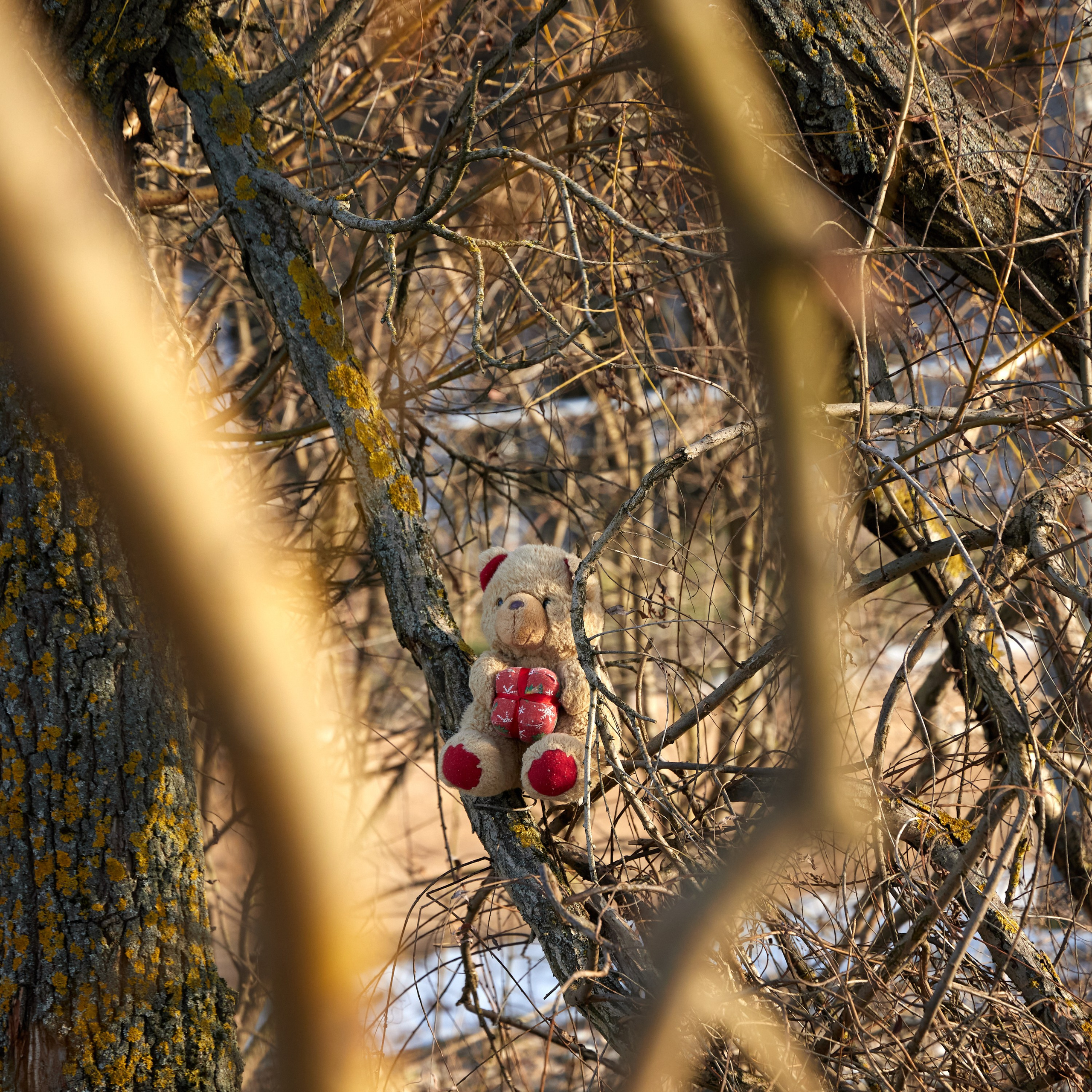 Путешествие одного Медведя. Предметный и контентный фотограф в Москве Курочкина Оксана