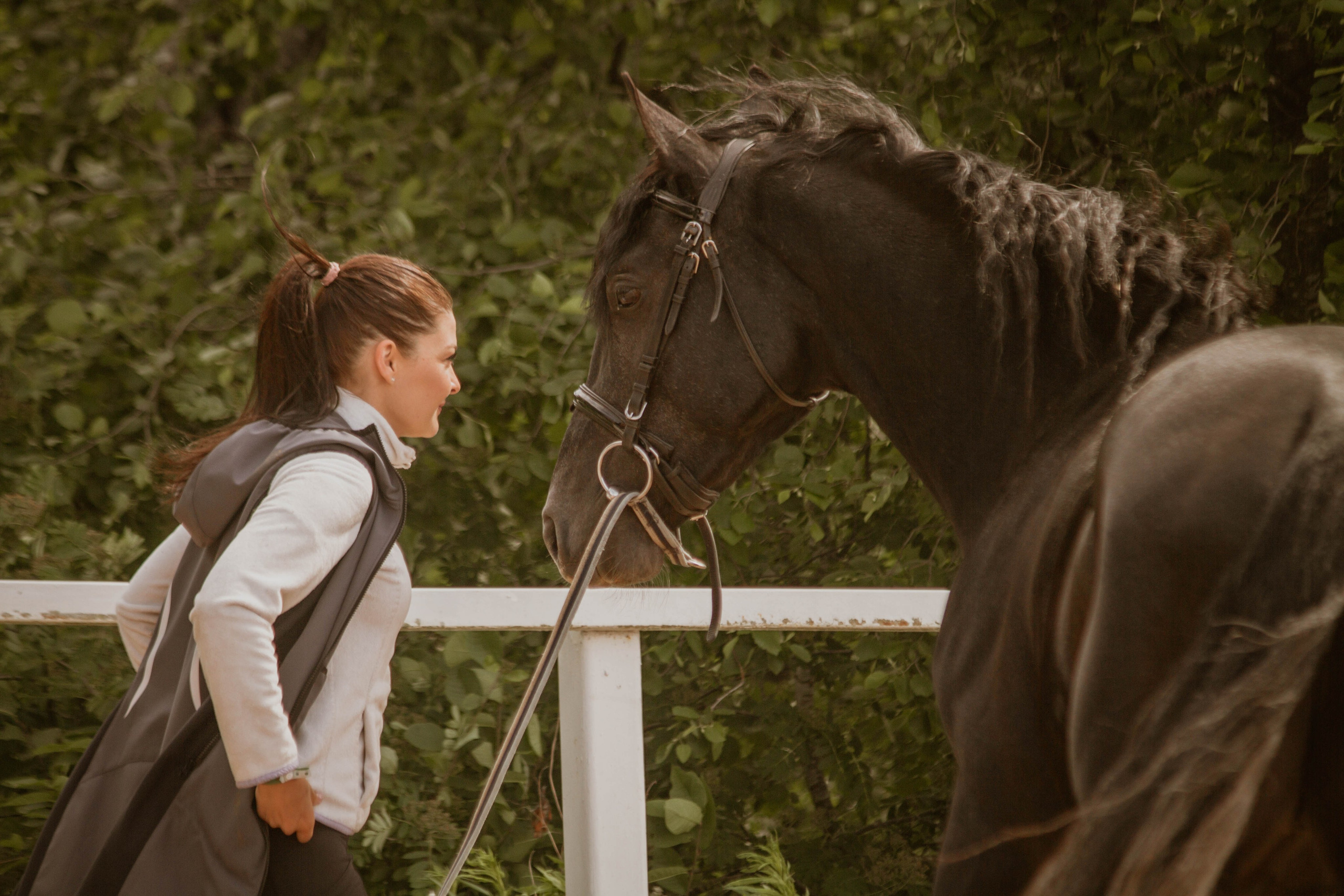 ИППОСФЕРА — Международная конная выставка. Создадим шедевр? Виталина и её фотоискусство