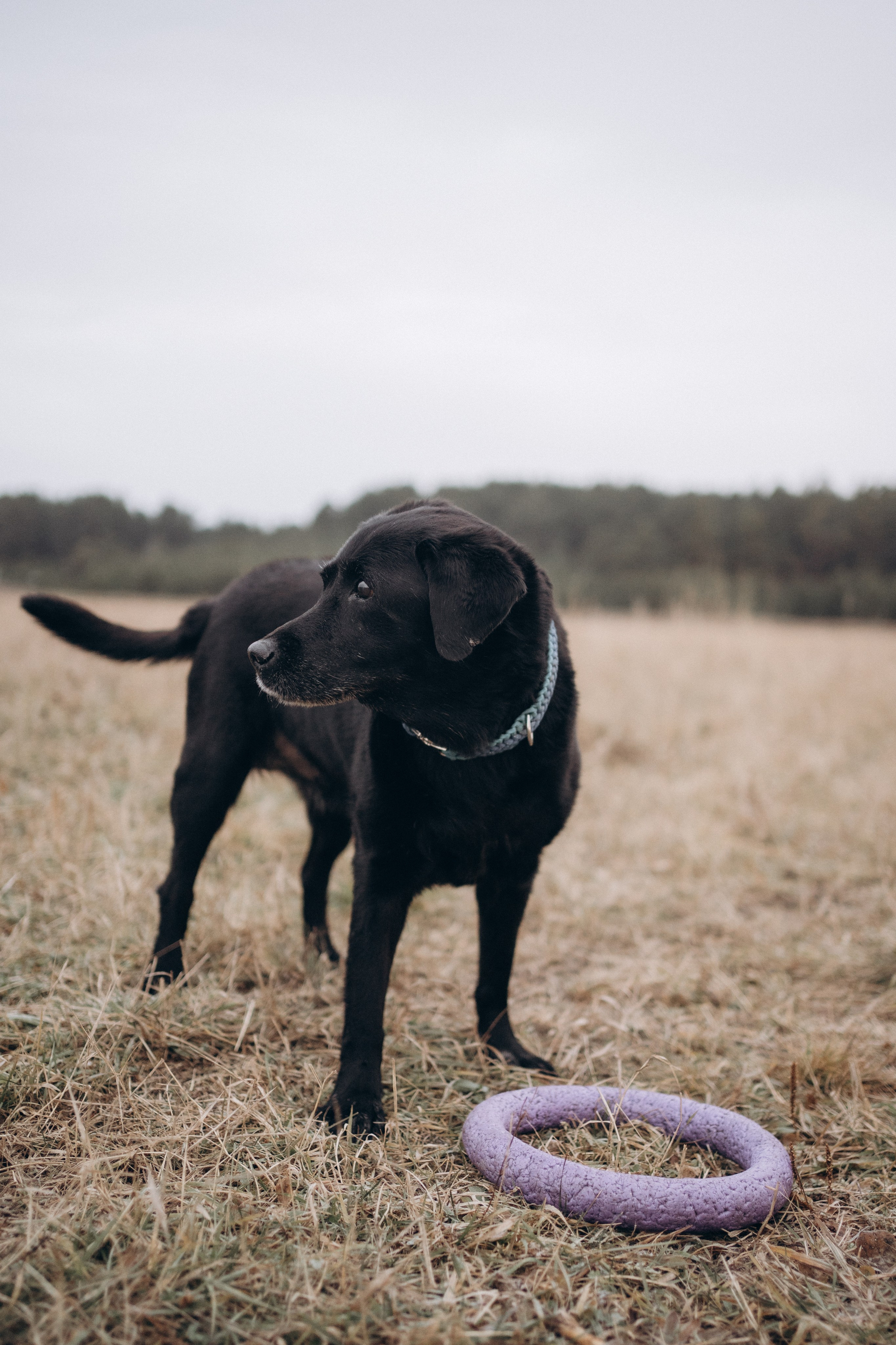 Таня и Молли. Фотограф-анималист Анастасия Большакова
