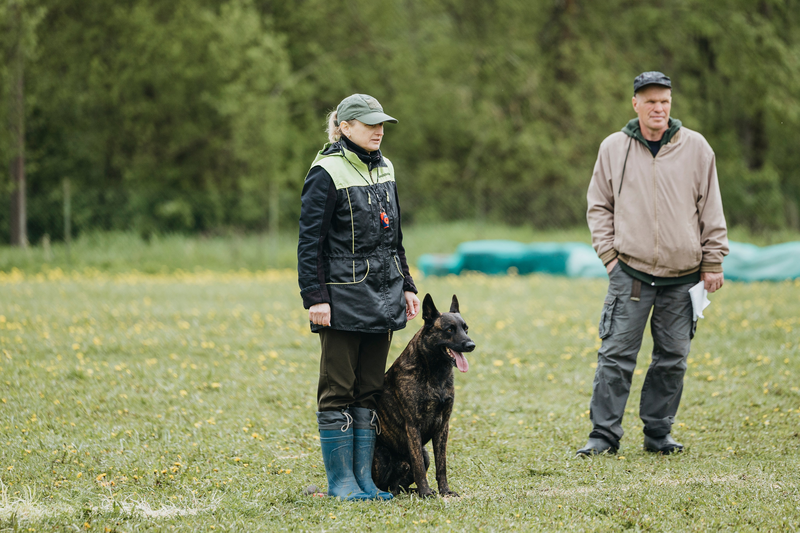 26.05.25 г. Пушкин квалификационные соревнования. Фотограф-анималист Анна Маринич