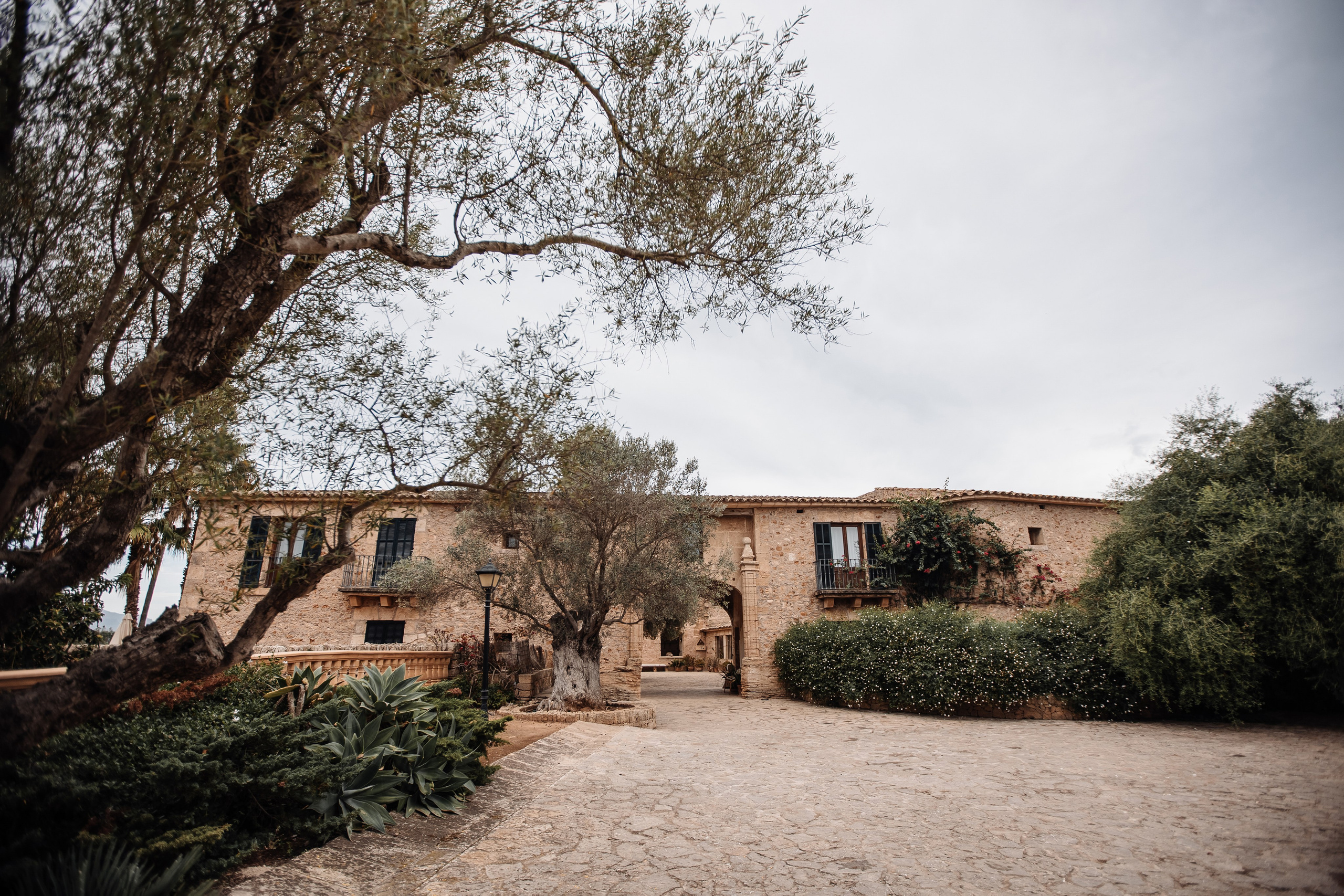 Vaida_&_Tadas. Фотограф на Майорке Екатерина Дробышева