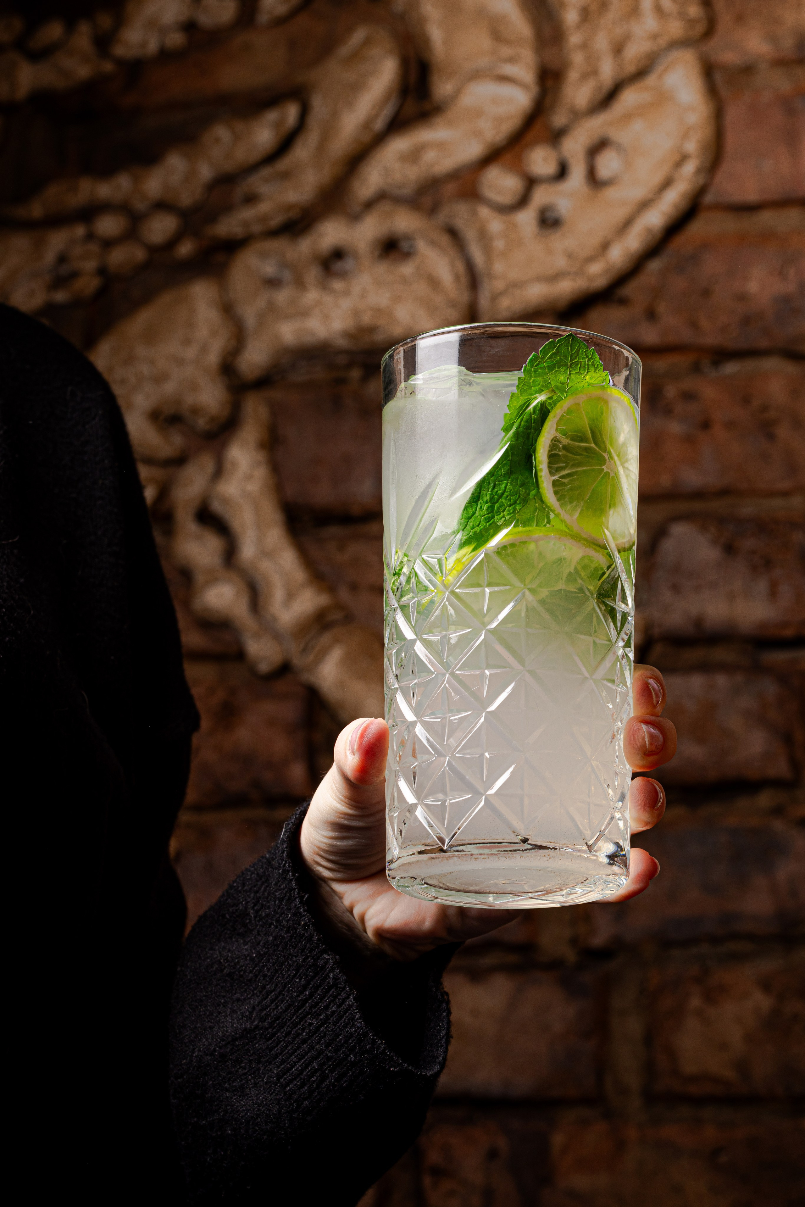 Раки и Гады