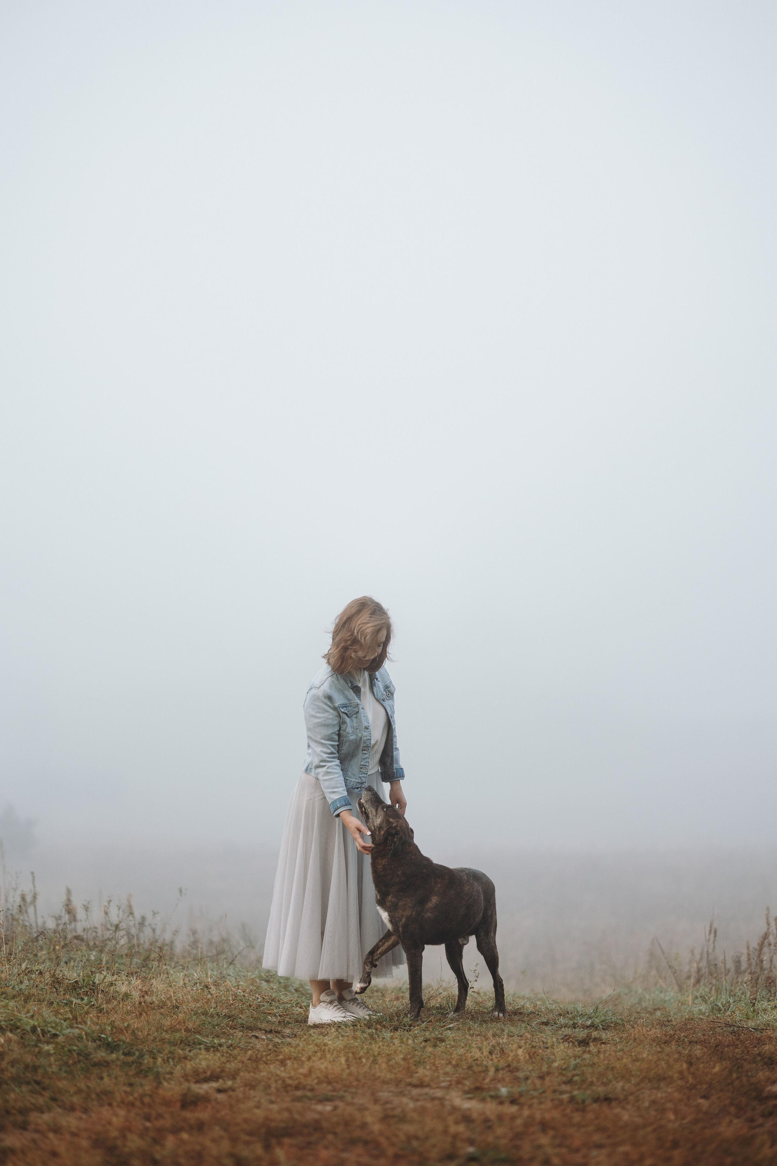Любовь и ее хвостики. Фотограф — Анималист | Санкт-Петербург