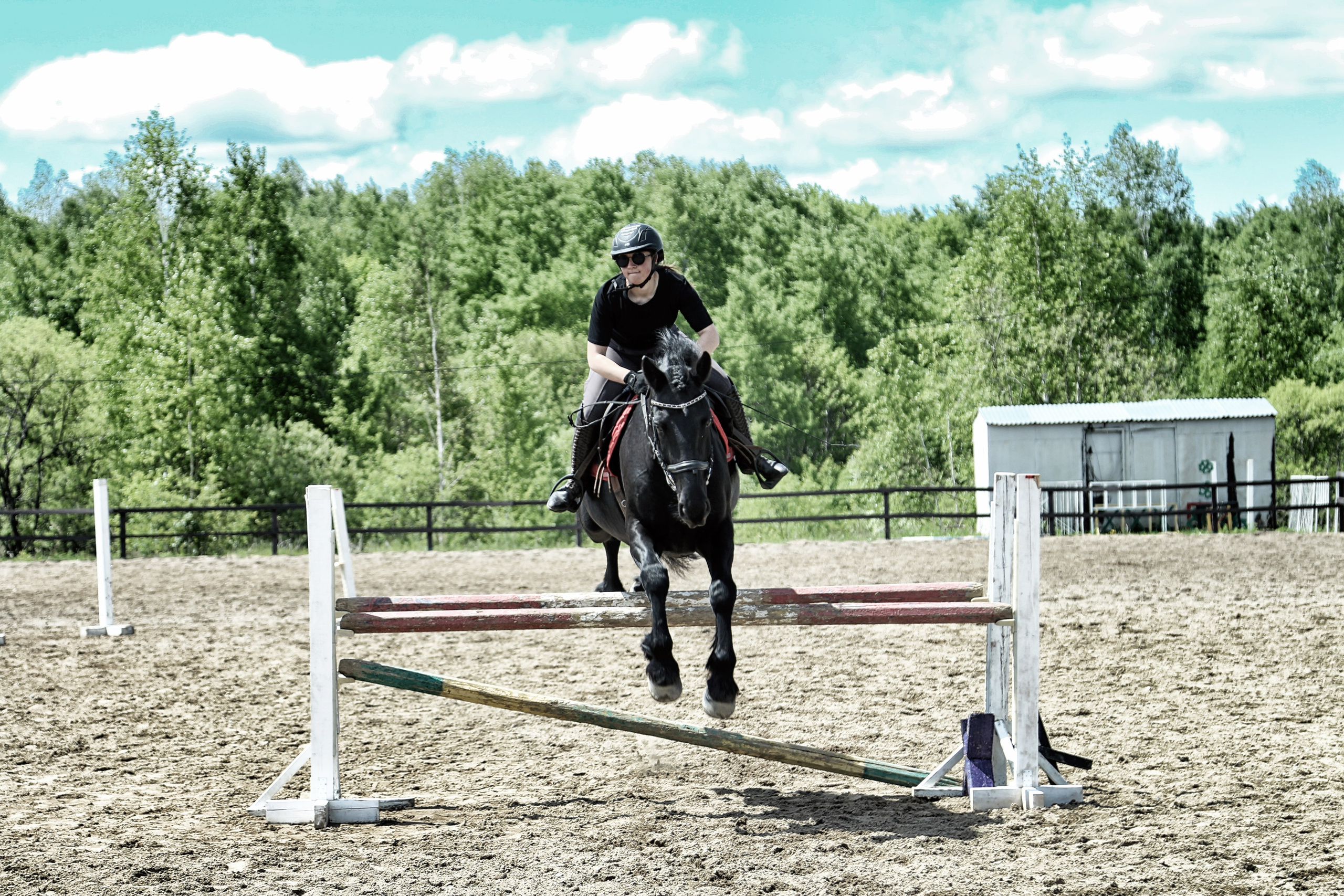 Лошади «Каскад» и «Брилиант». Алиса Томшина — Фотограф / Видеограф