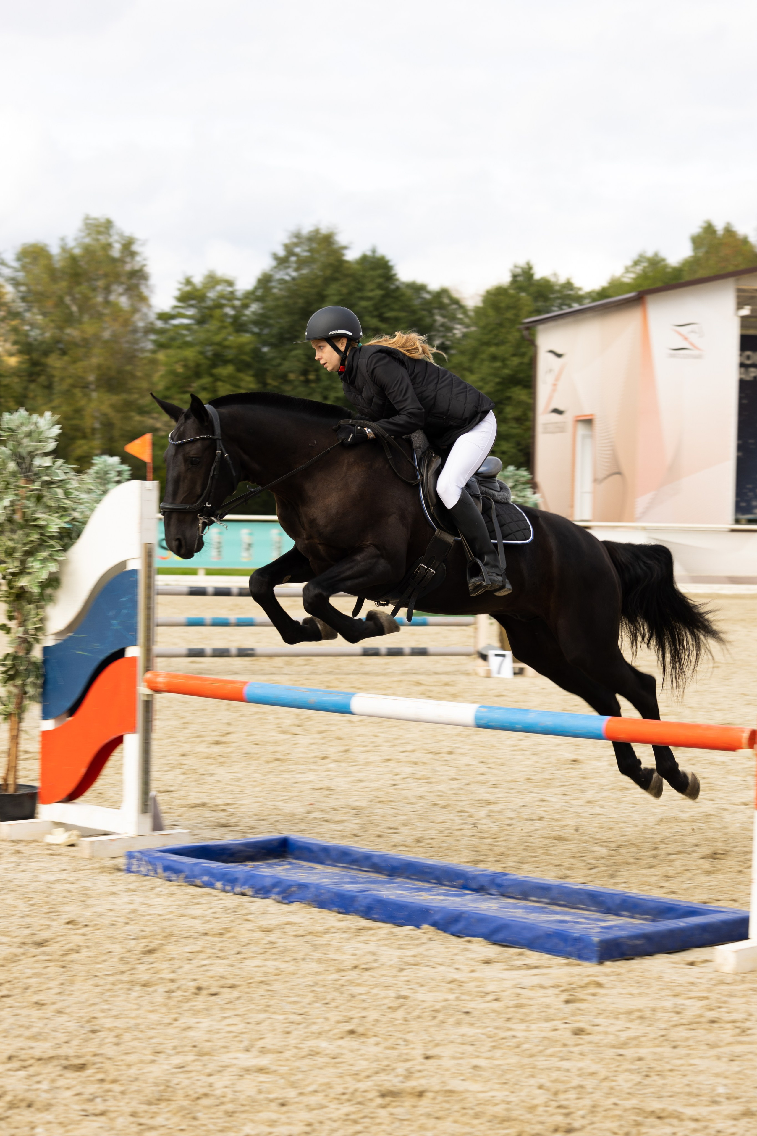 Соревнования по конкуру. Фотограф в Москве Светлана Богначева