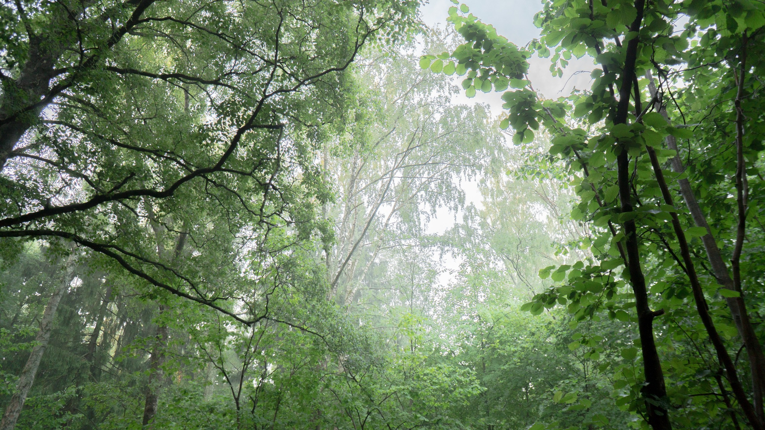 Улица горизонтальная. Jorgis — фотограф в Хургаде / обучение фотографии