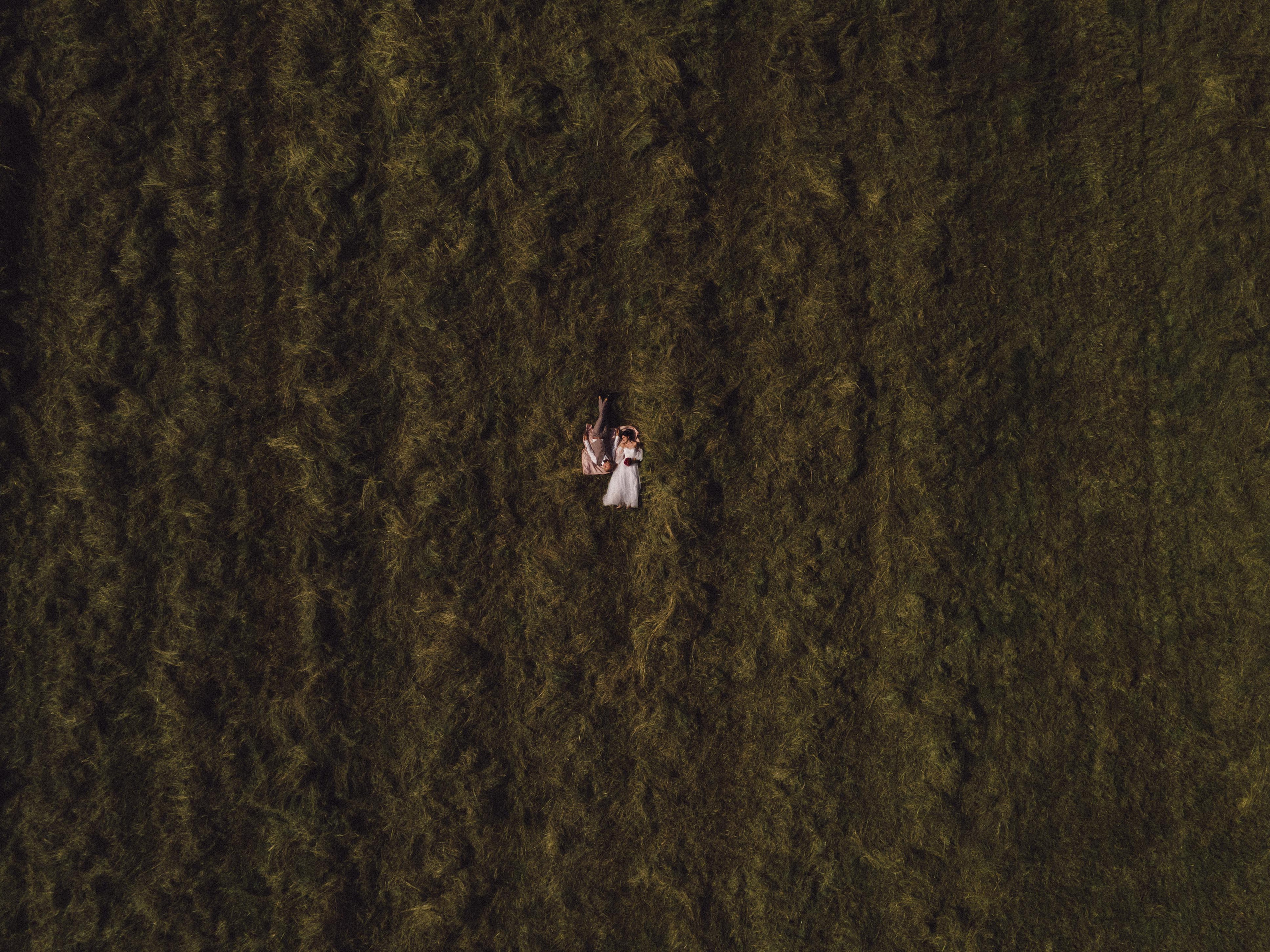 Наталья & Алексей. Свадебный фотограф Москва и Московская область