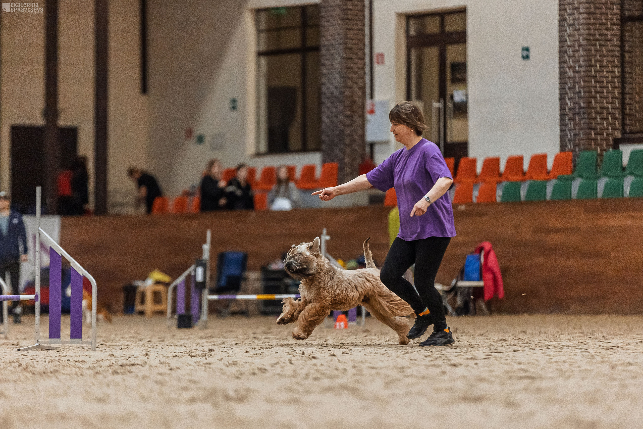 ЧРКФ Аджилити в Максима. Фотограф Анималист Екатерина Справцева в Нижнем Новгороде