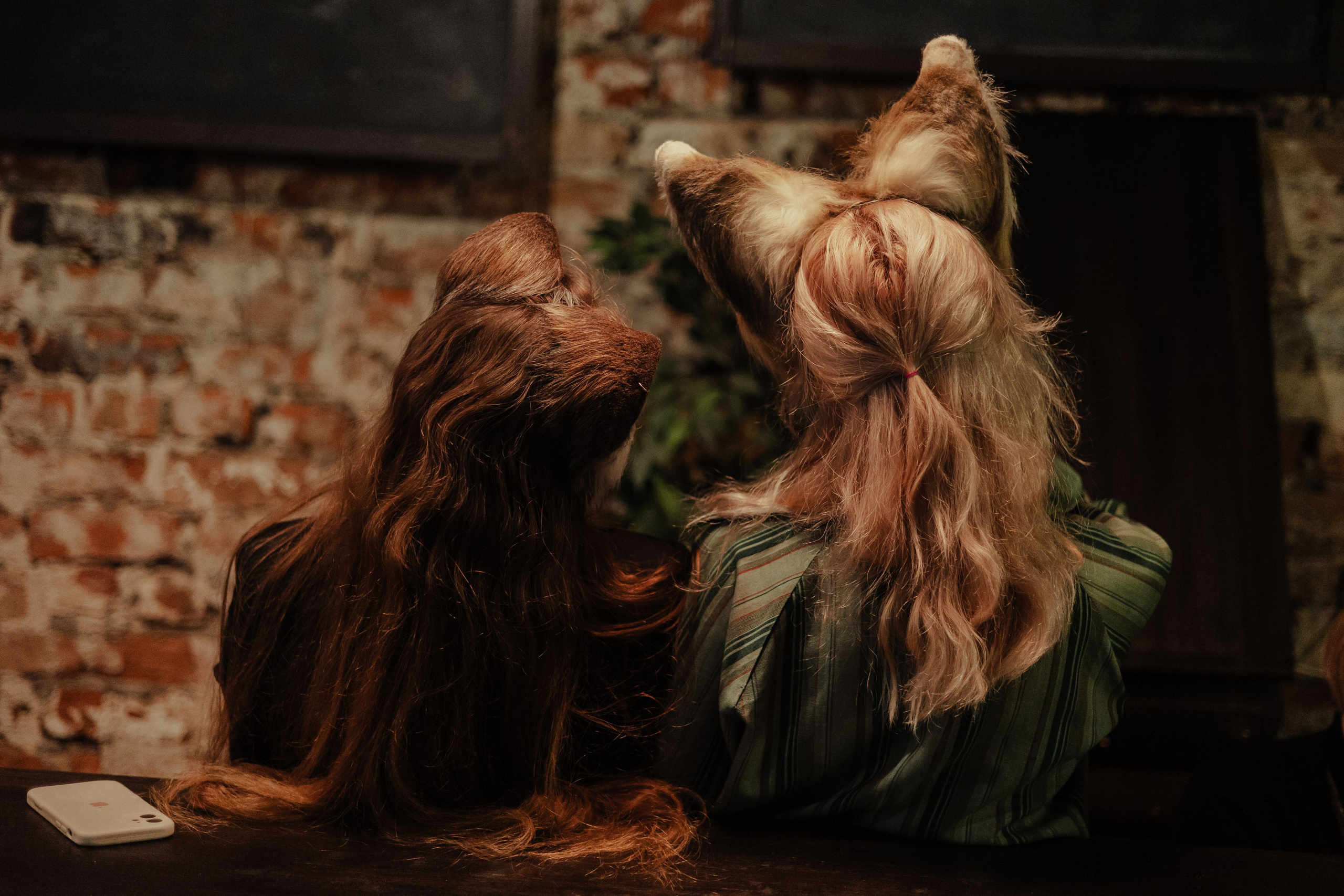 Арт-Маркет ВОЛЧОК. Фотограф Анималист Екатерина Справцева в Нижнем Новгороде