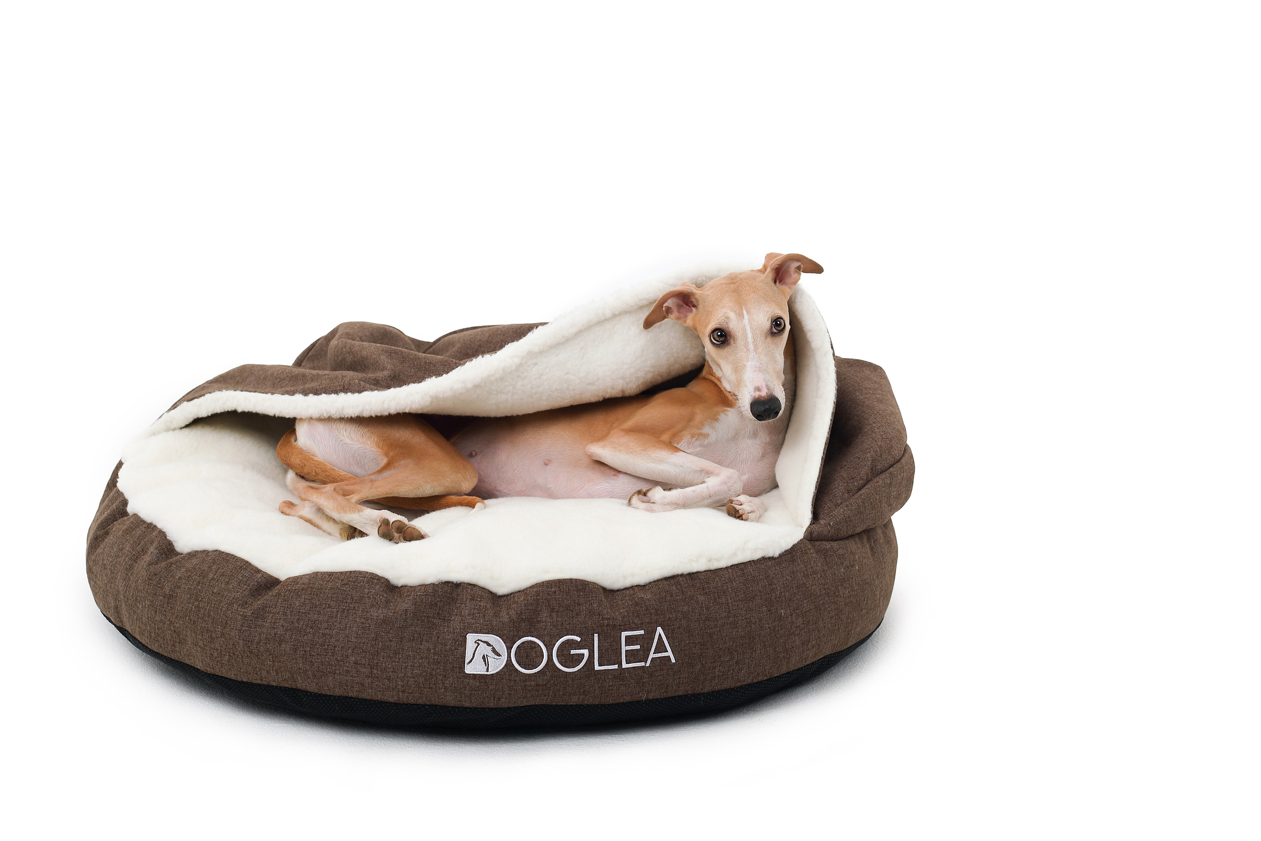 Для брендов. Фотограф- анималист Санкт-Петербург