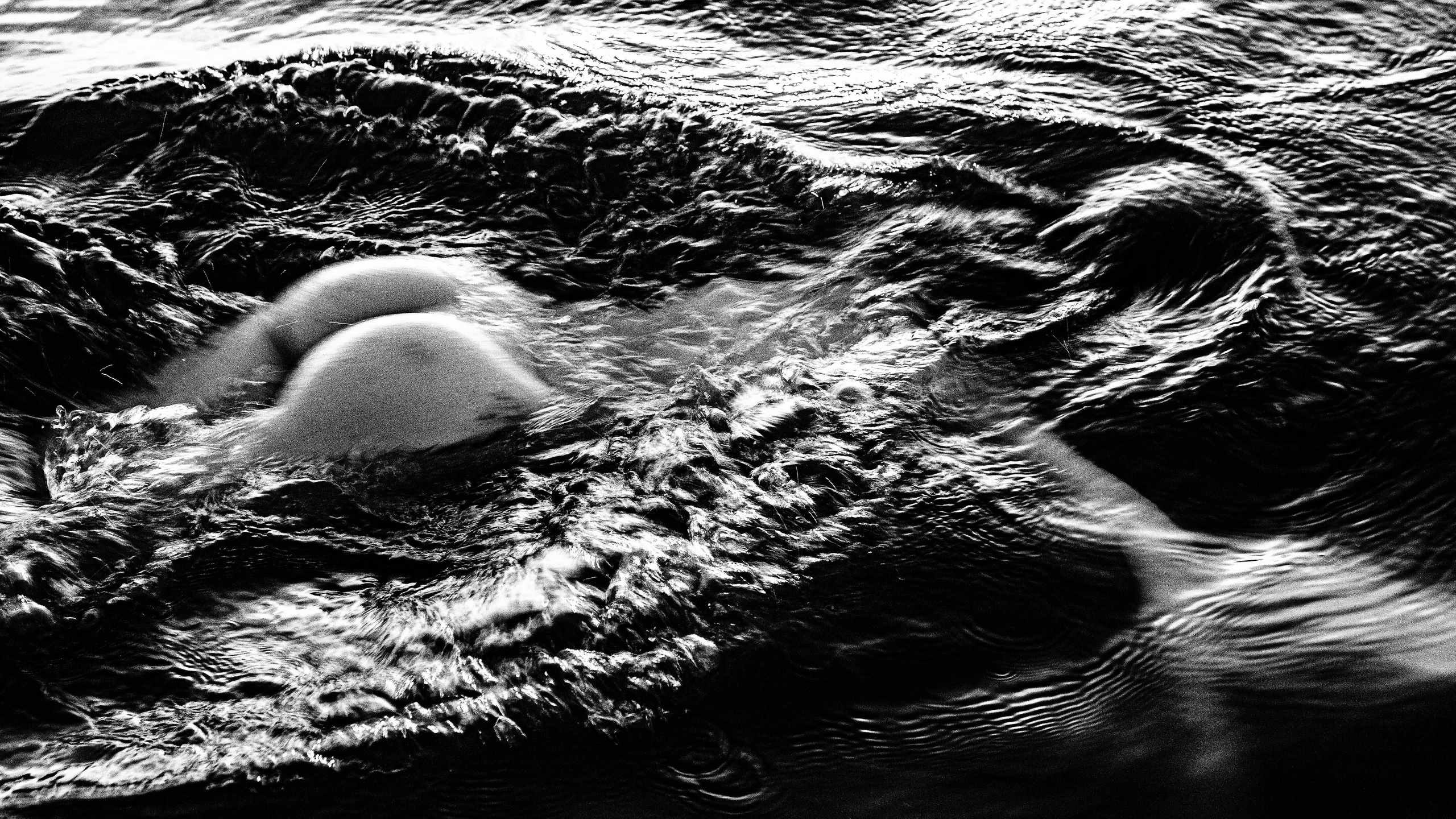 Даниэлла. Черно-белый фотограф Дмитрий Пчелкин