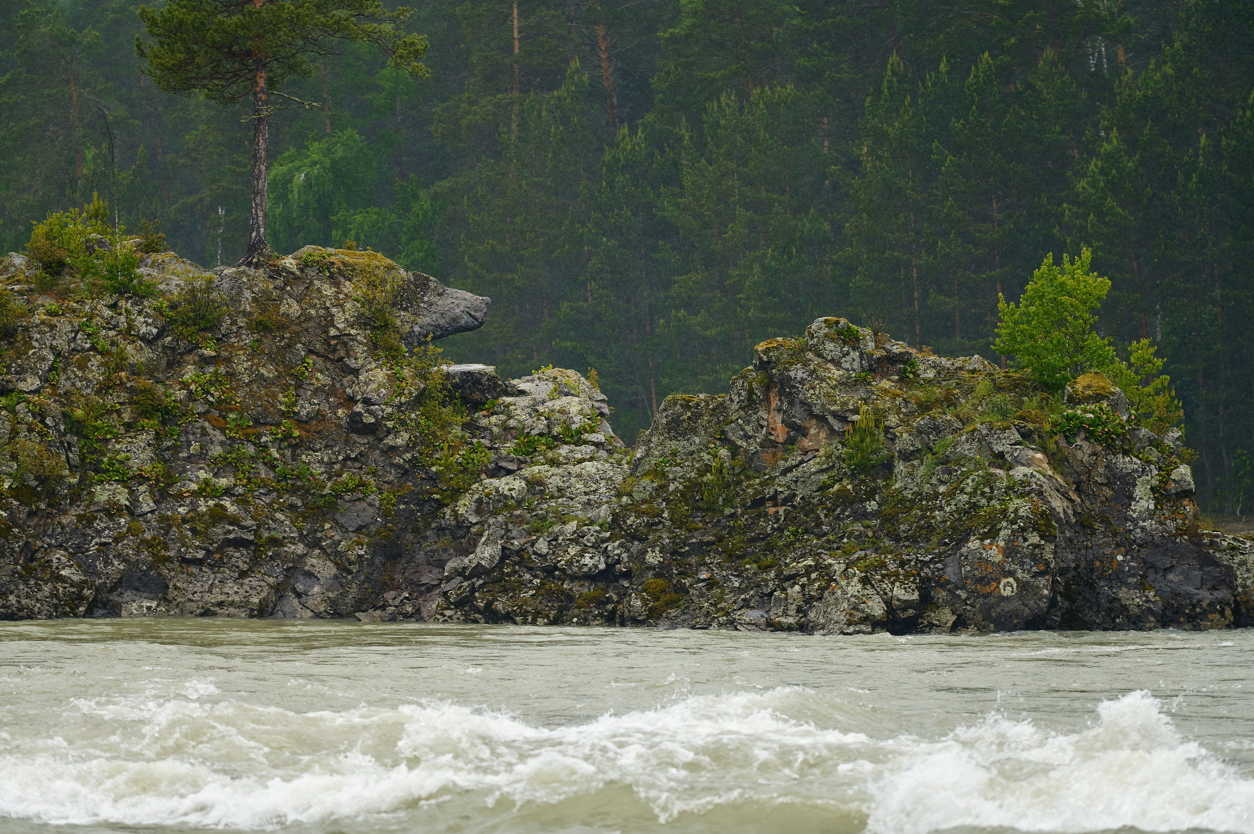 Пейзажный фотограф в Горном Алтае: съёмки природы и гор. Фотограф Опыт Качество Скорость Горный Алтай Барнаул