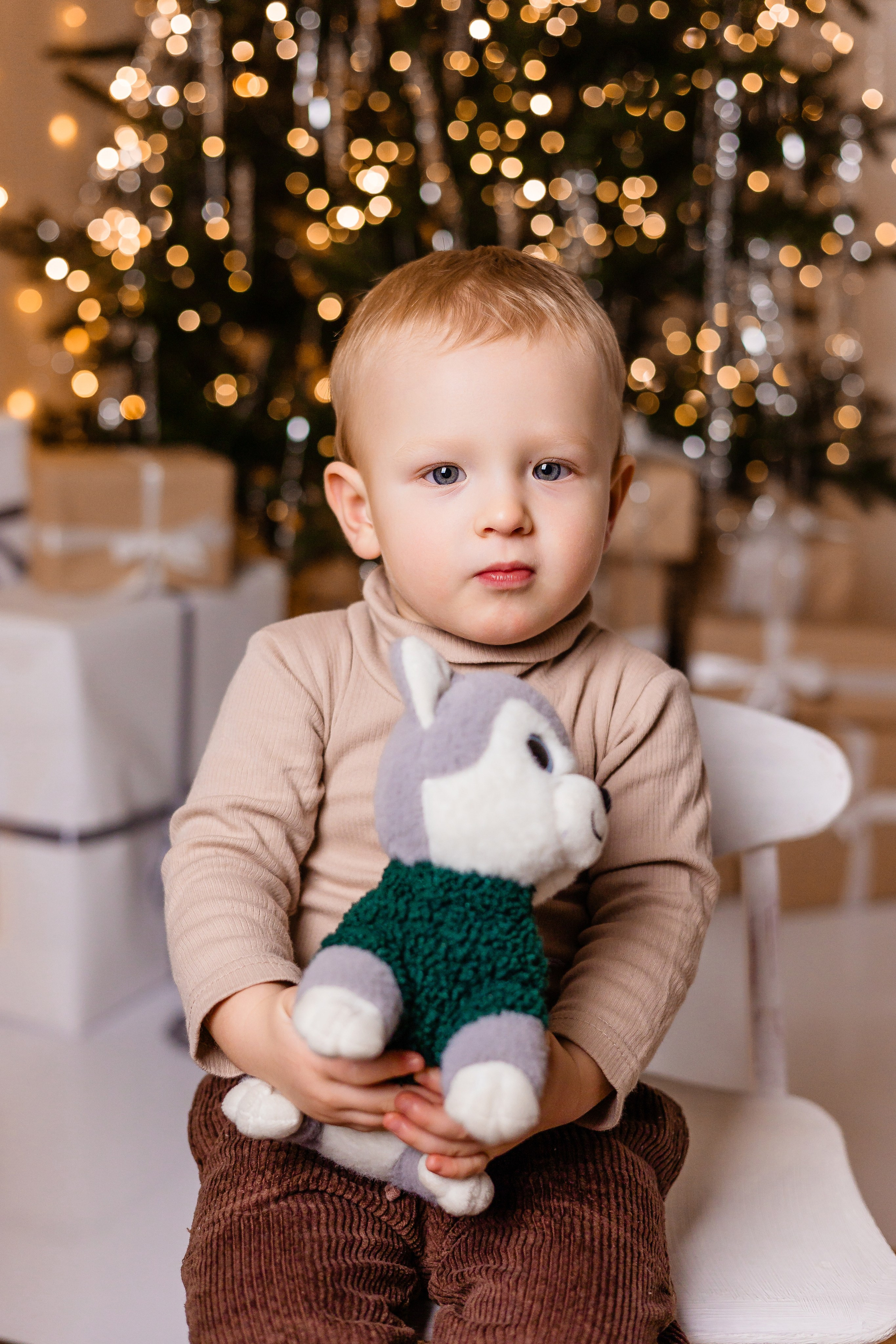 Новый год 2026. Фотограф Лодейное Поле Екатерина Герасимова в Санкт-Петербурге и Лен. области