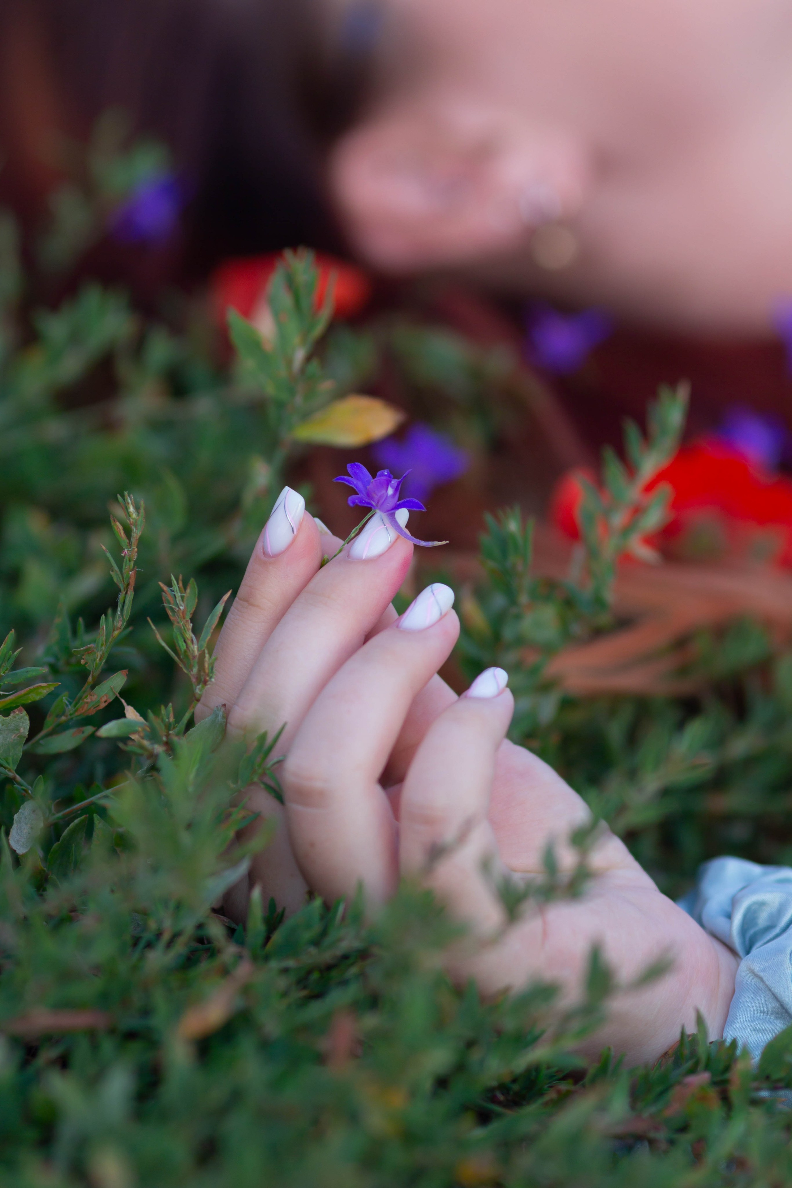 Нежность утренней росы. Аник фотограф Симферополь, Крым