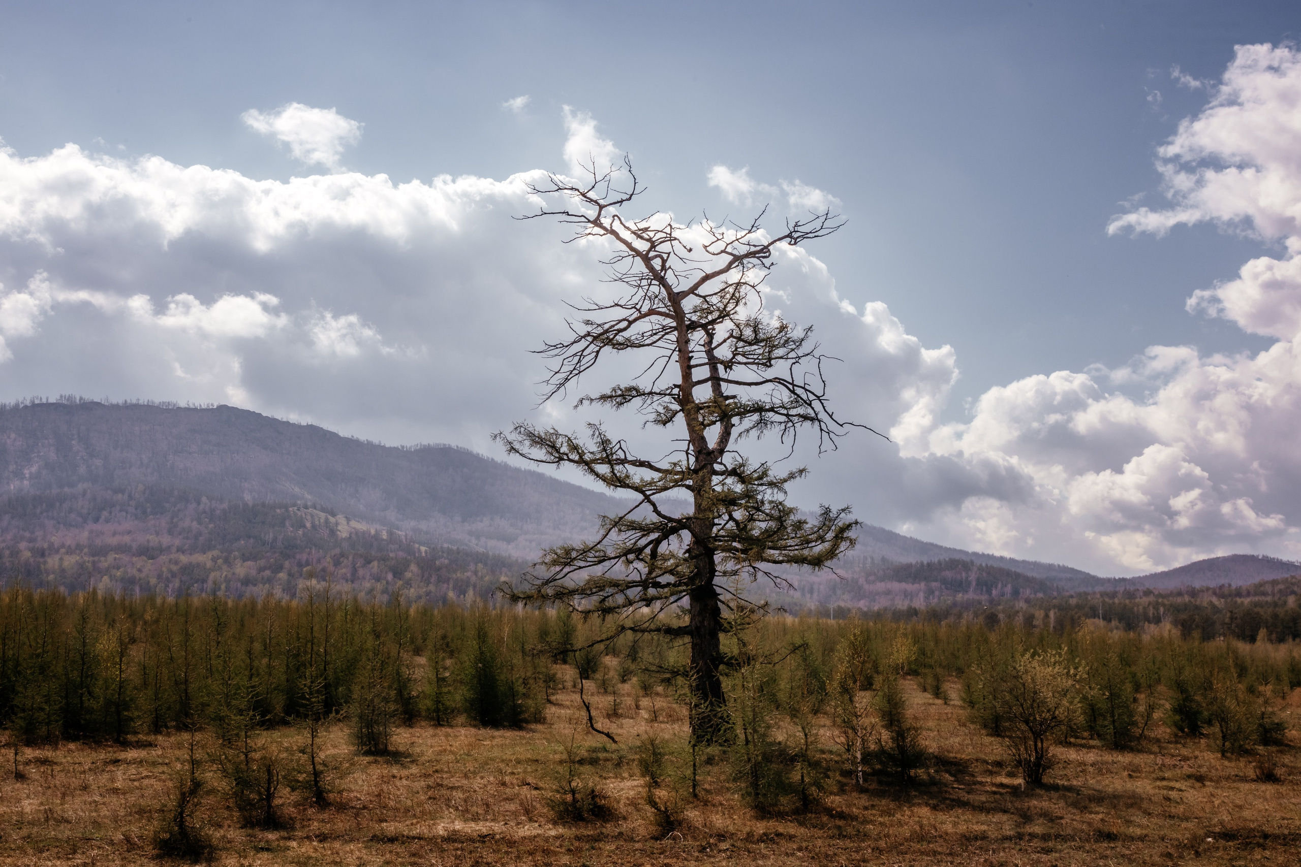 Хакассия. Фотограф в Красноярске Оксана Корчагина