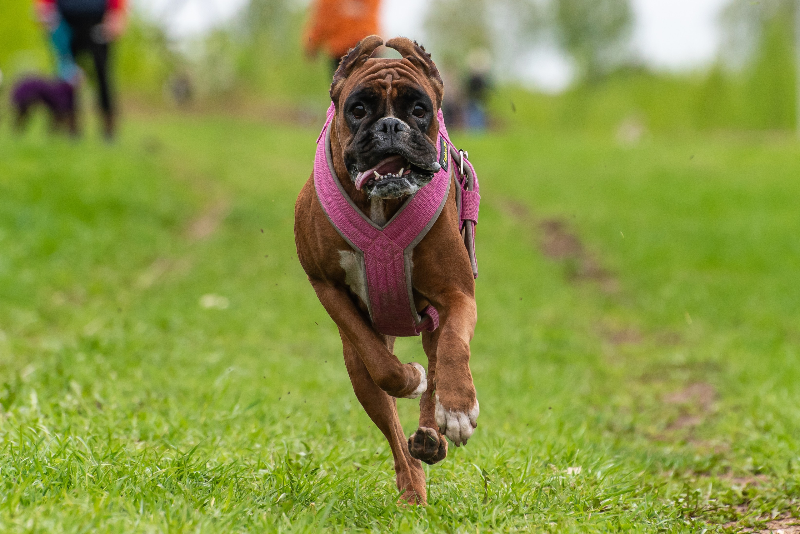Фотографии с Курсинга. Фотограф Макс Огурцов в Нижнем Новгороде
