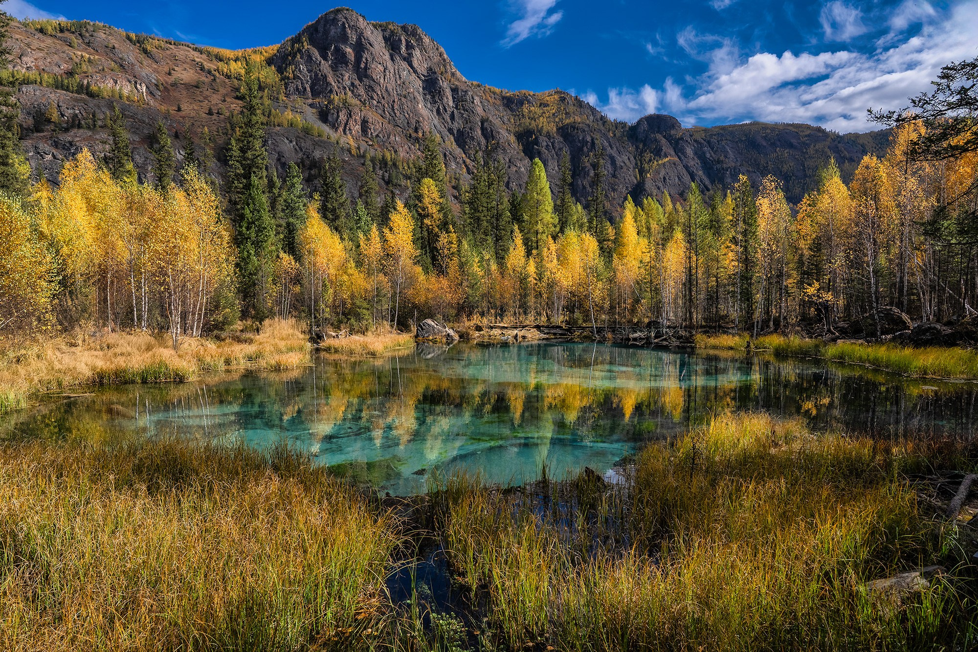 Алтай. Фотограф Владимир Остапенко