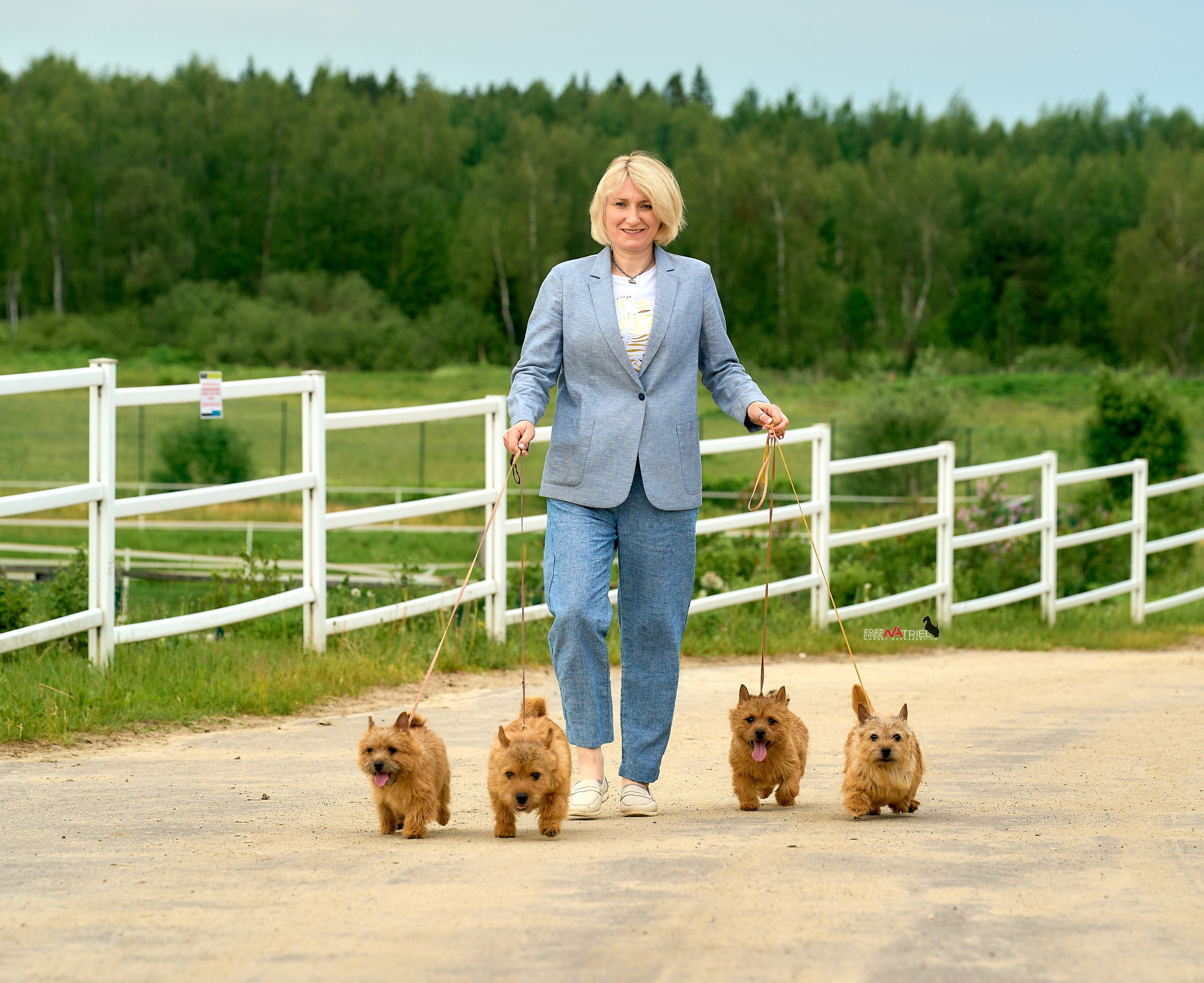 Выставка собак РОССИЯ — 2025