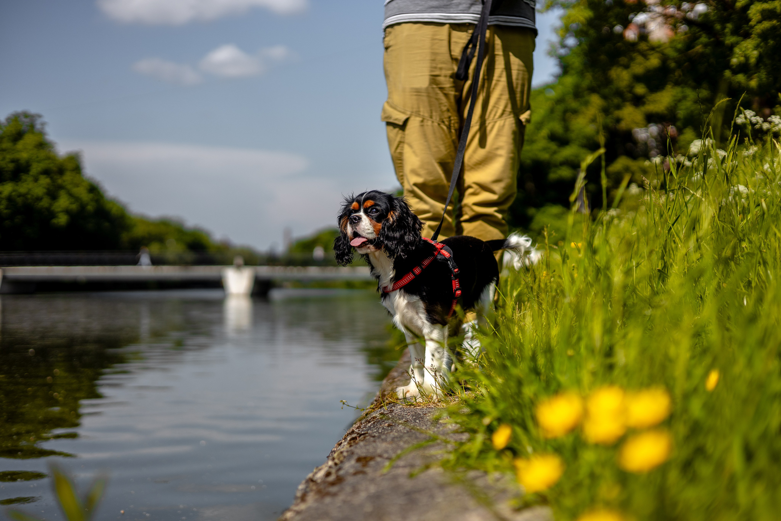 Нижнее озеро. Фотограф Елена Медок Калининград